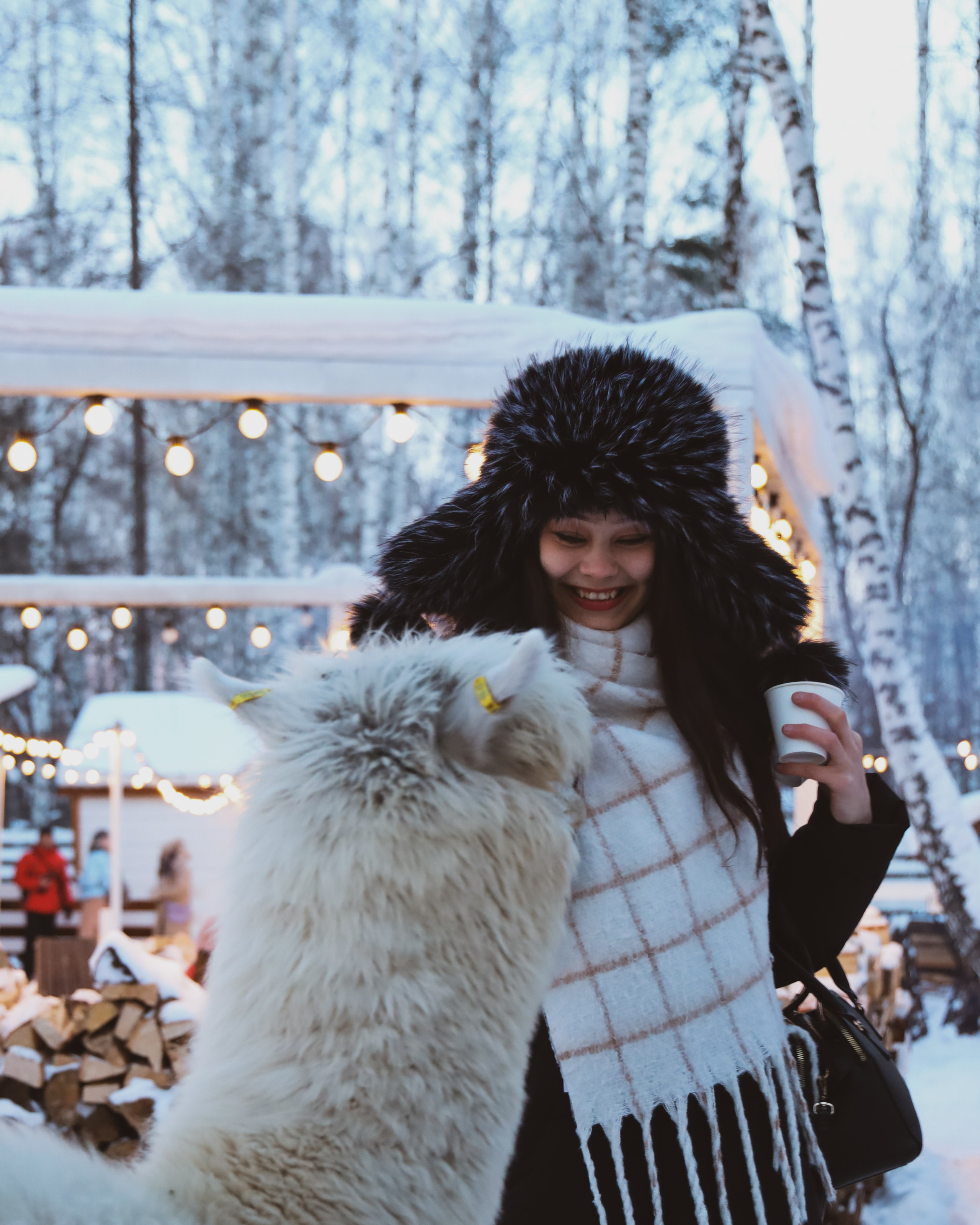 Alpaca park. Фотограф/дизайнер в Екатеринбурге Хитрый Дмитрий