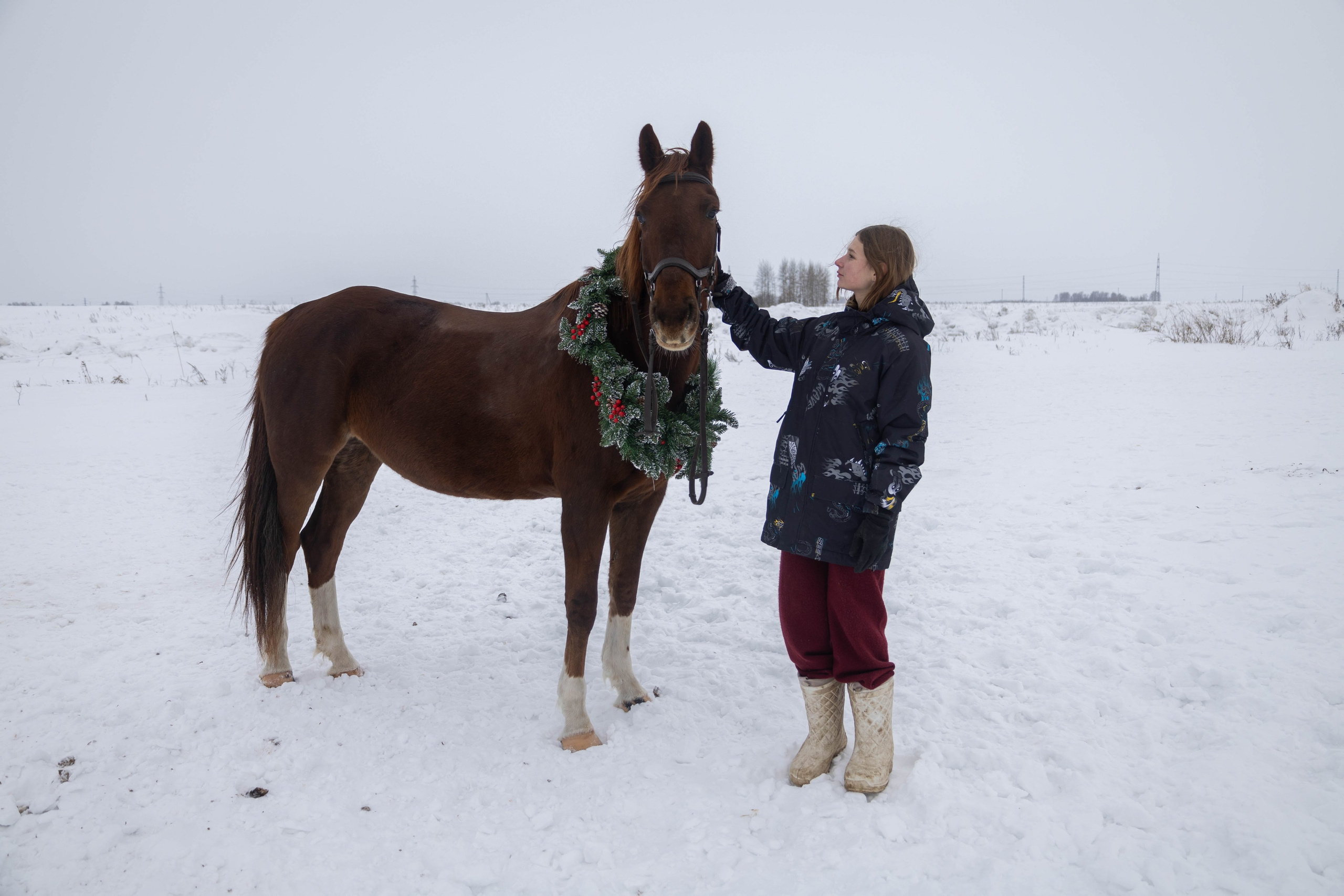С лошадьми. Mintonov's Film Studio