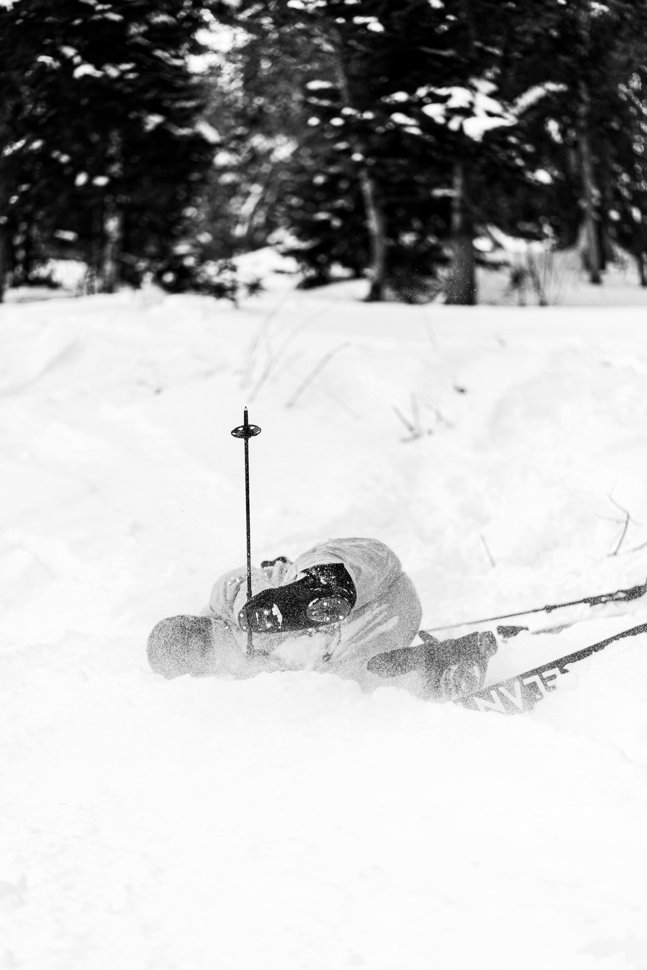 Джой 13.12. Анастасия Паршукова — фотограф Шерегеш Новосибирск