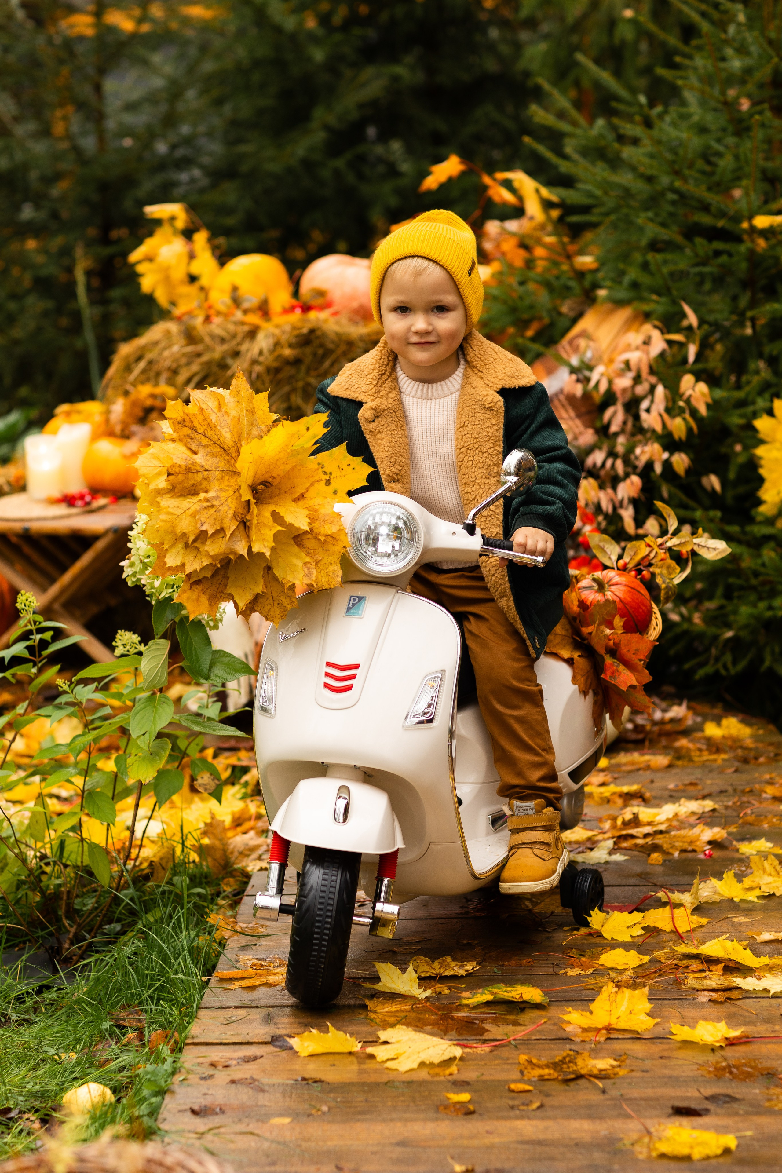 Осень. Профессиональный ретушер Москва и весь мир — Елена Тимченко