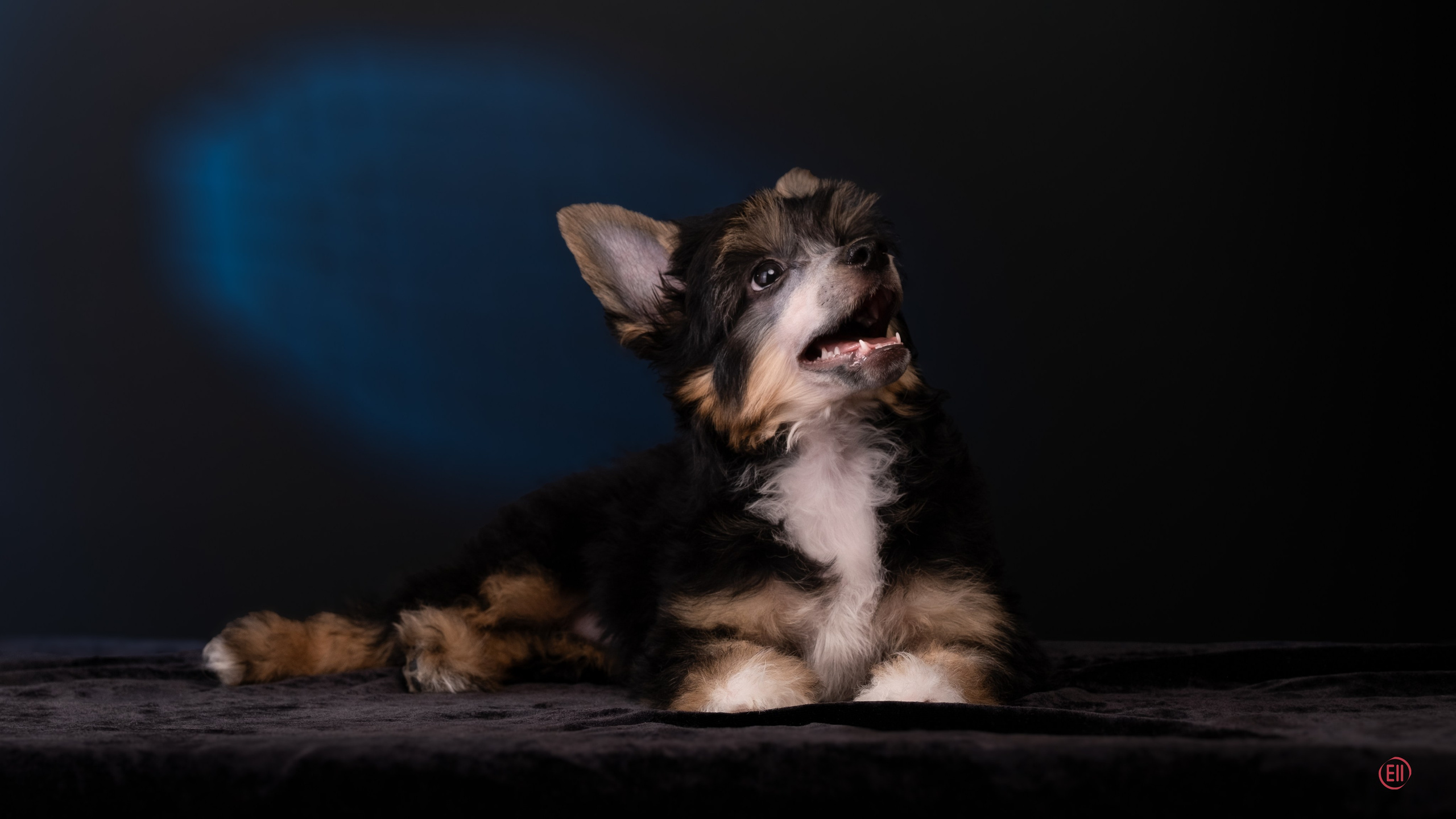 07.06.2025 Синяя фотосессия. Фотограф в Москве