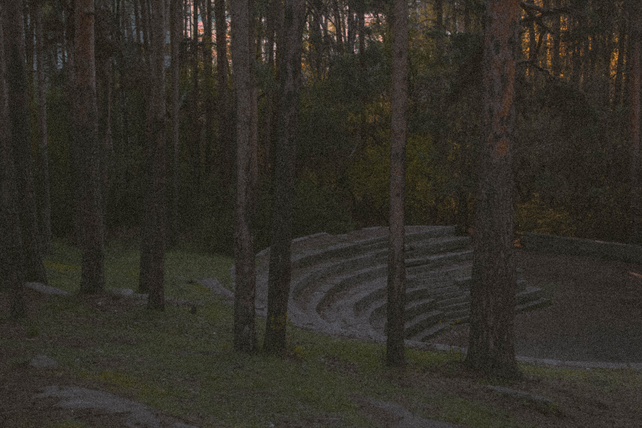 «Без названия»