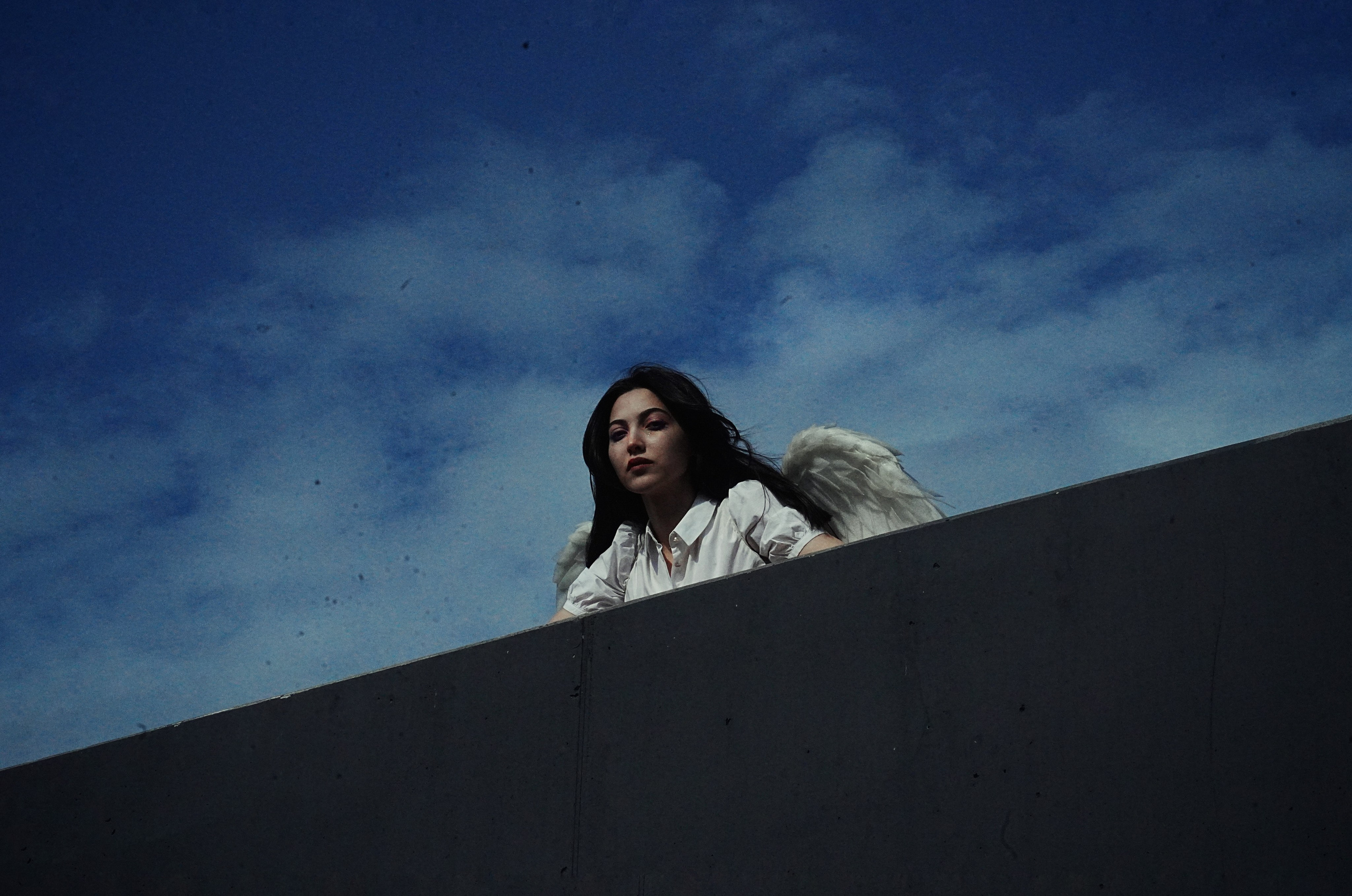 ПАДШИЙ АНГЕЛ. VetkasART