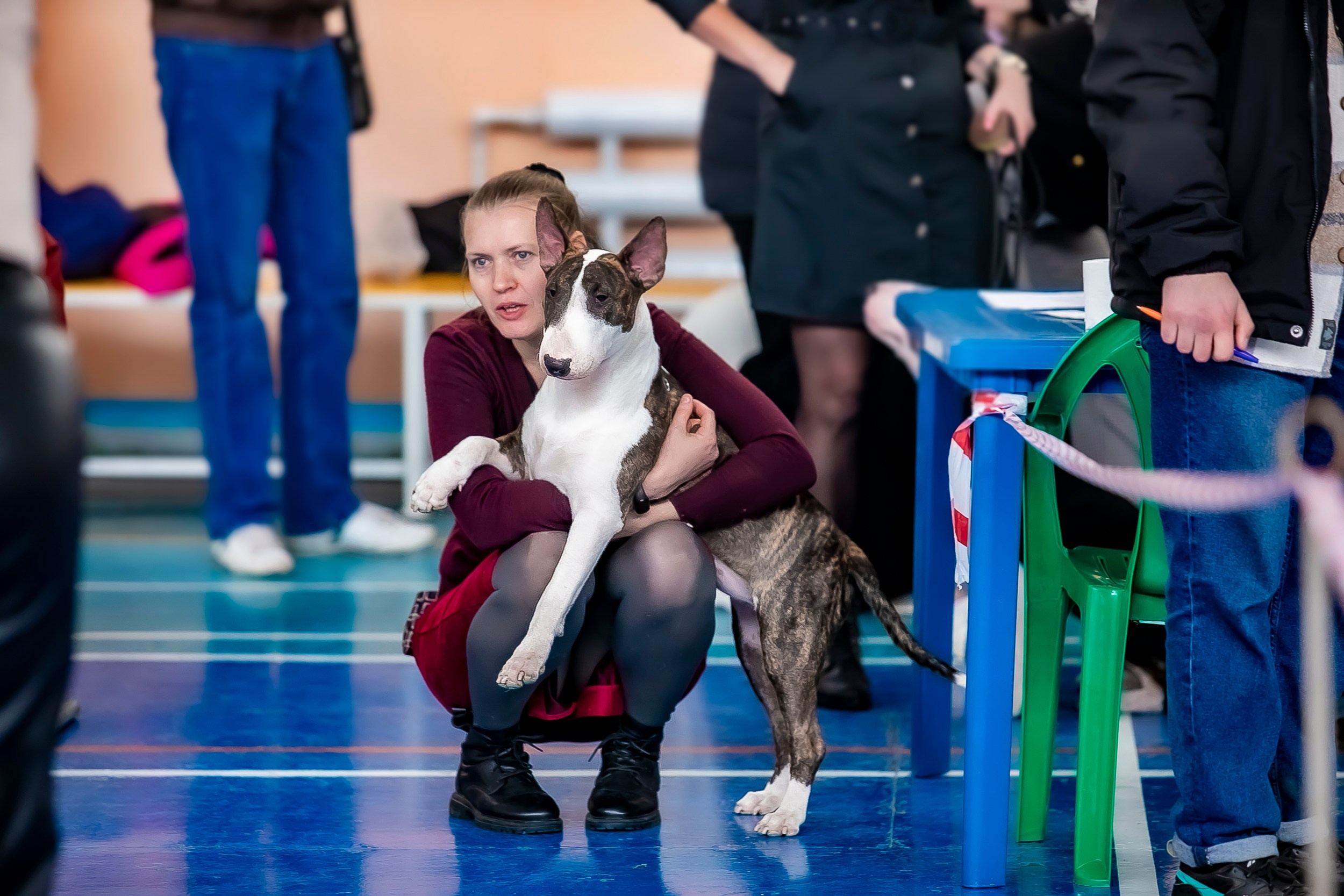 Авторские пресеты для обработки фото. Фотограф — видеограф Алиса Дружинина