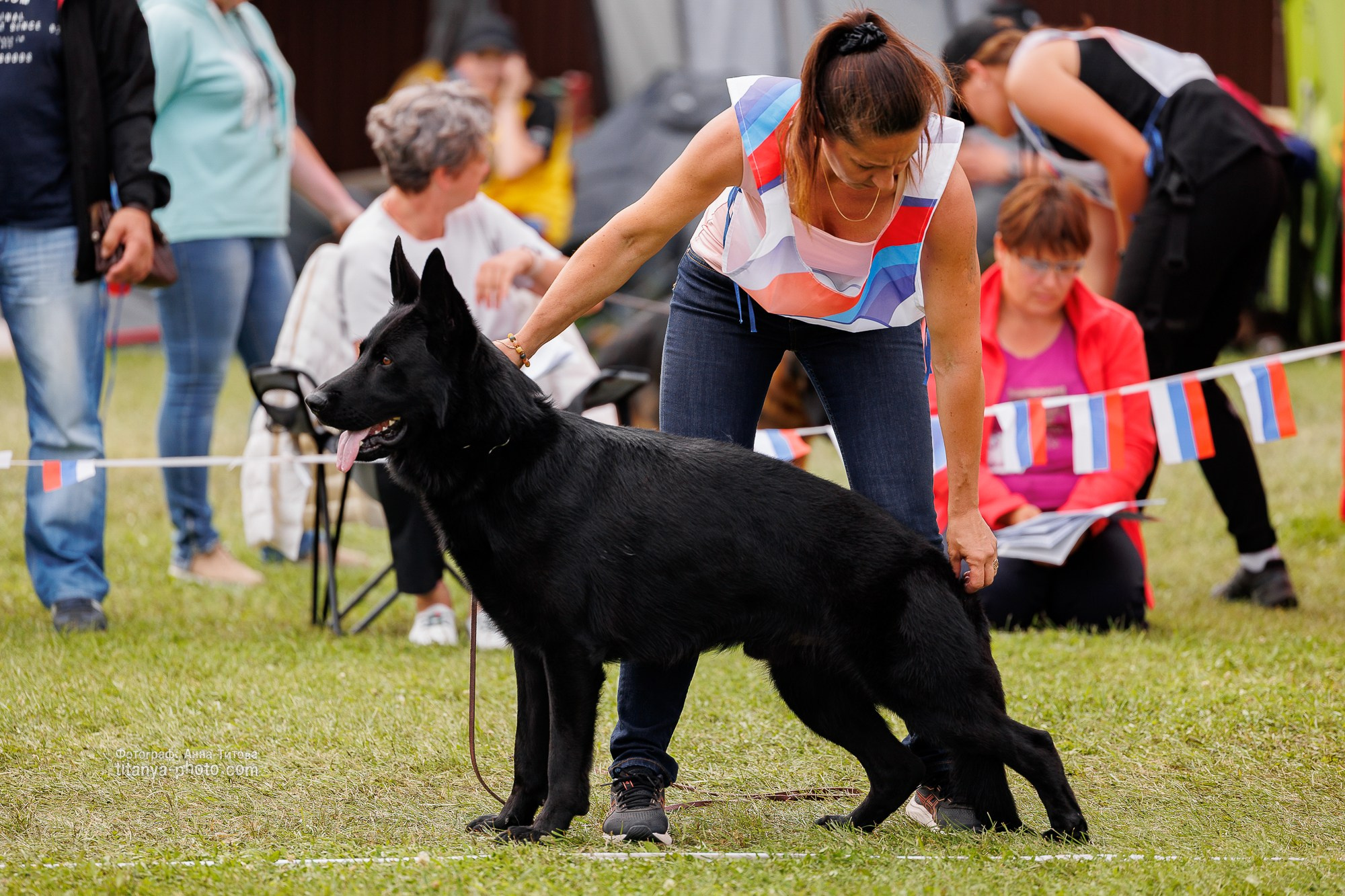 Немецкие овчарки: фото из рингов и вне ринга, мутпроба (фотографии с выставок). Фотограф собак, фотограф-анималист Аня Титова (Titanya). Москва