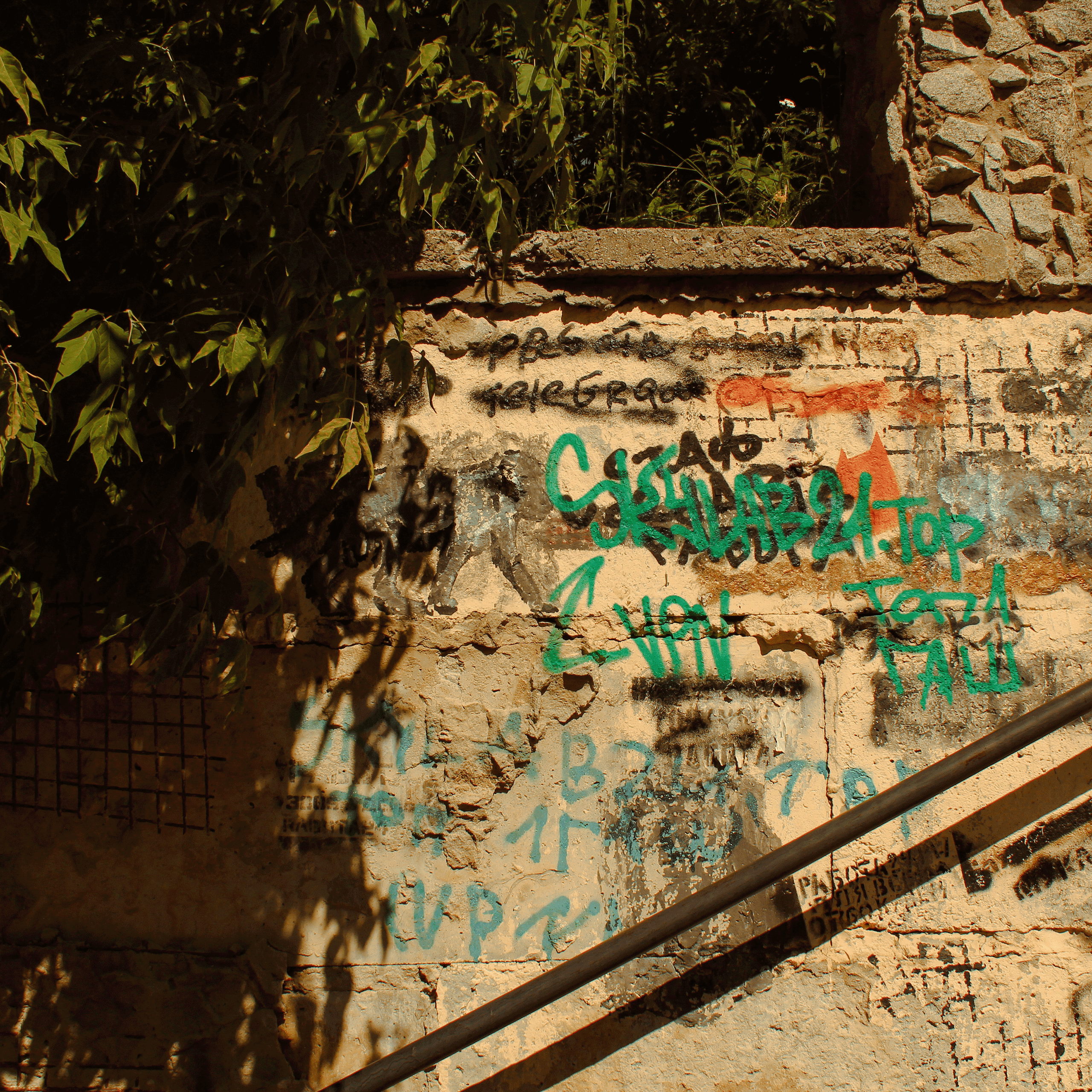 Summertime. Фотограф/дизайнер в Екатеринбурге Хитрый Дмитрий
