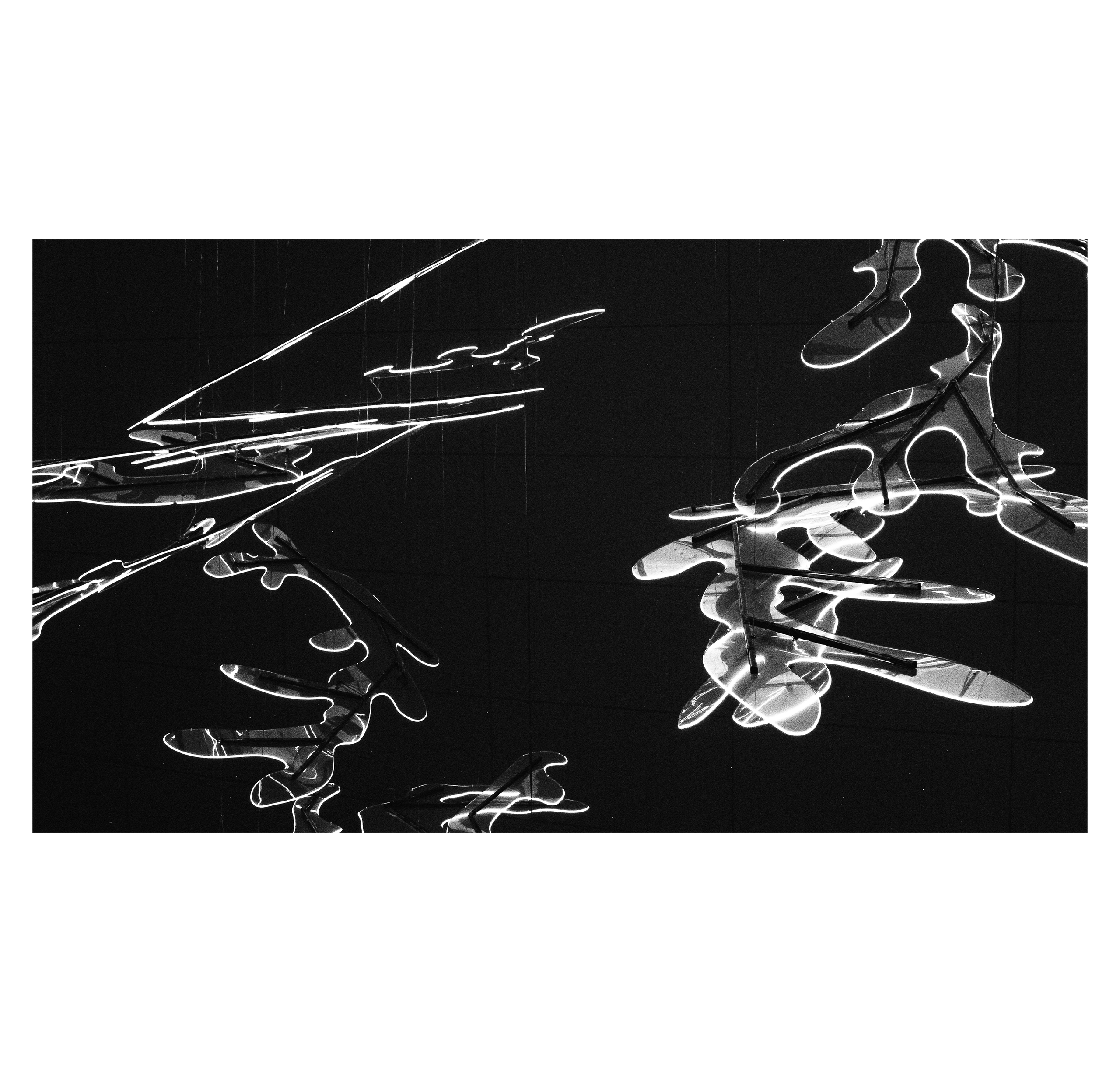 Summertime. Фотограф/дизайнер в Екатеринбурге Хитрый Дмитрий