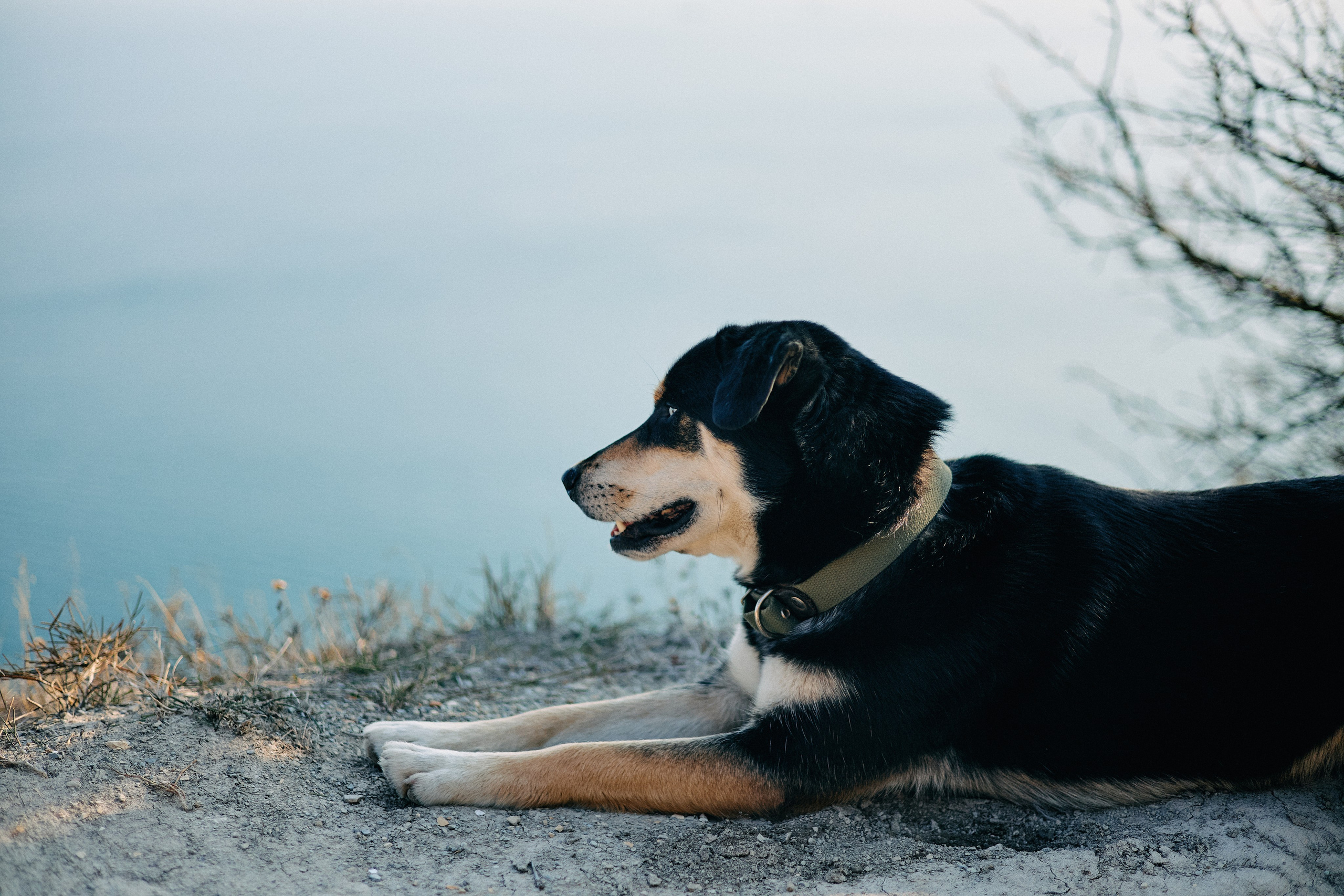 Юг России. Профессиональный Фотограф во Владимире, в Москве и в Суздале — Полина Романычева