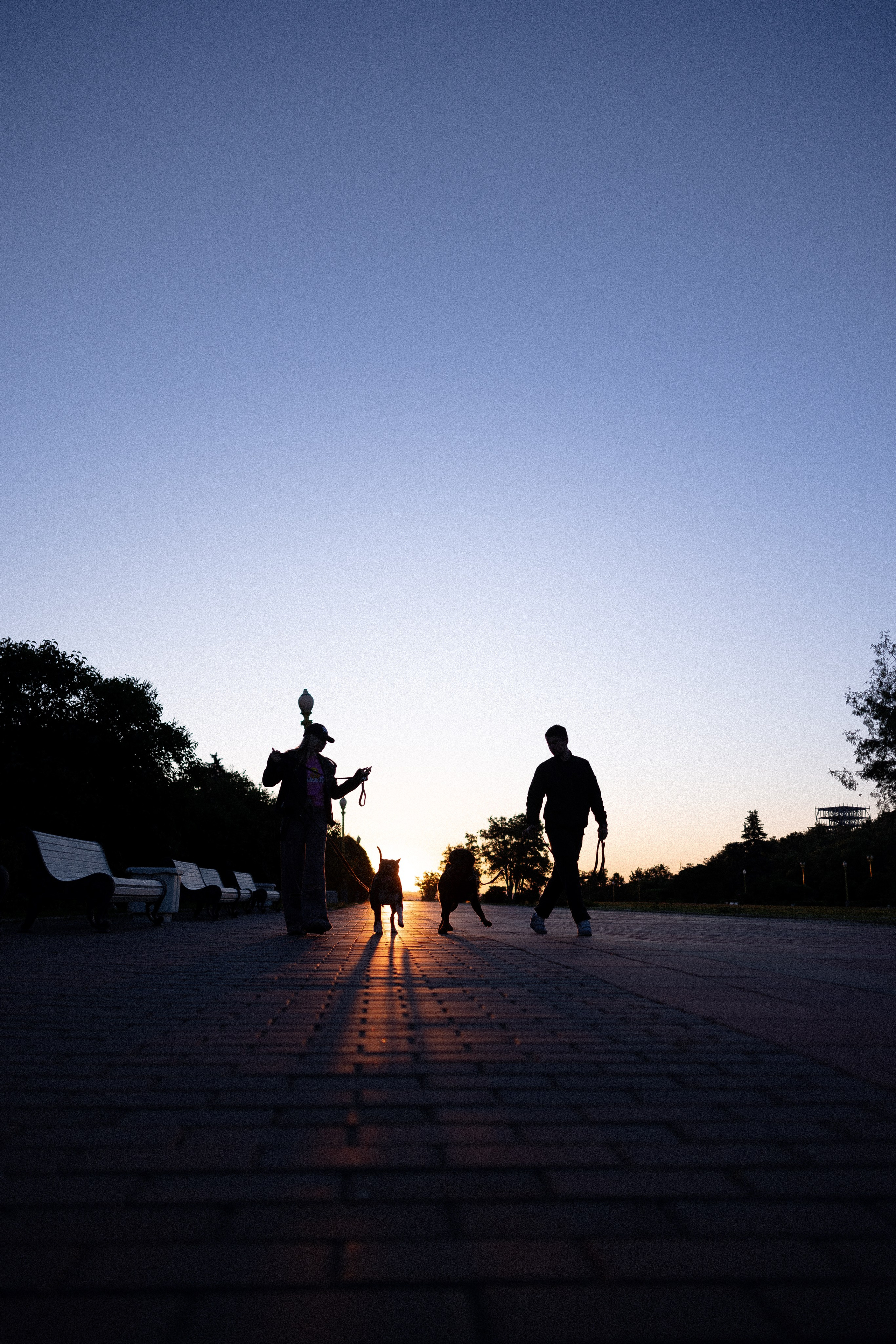 Катя, Леша, Лея и Трой. Фотограф и видеограф анималист Аганина Дарья
