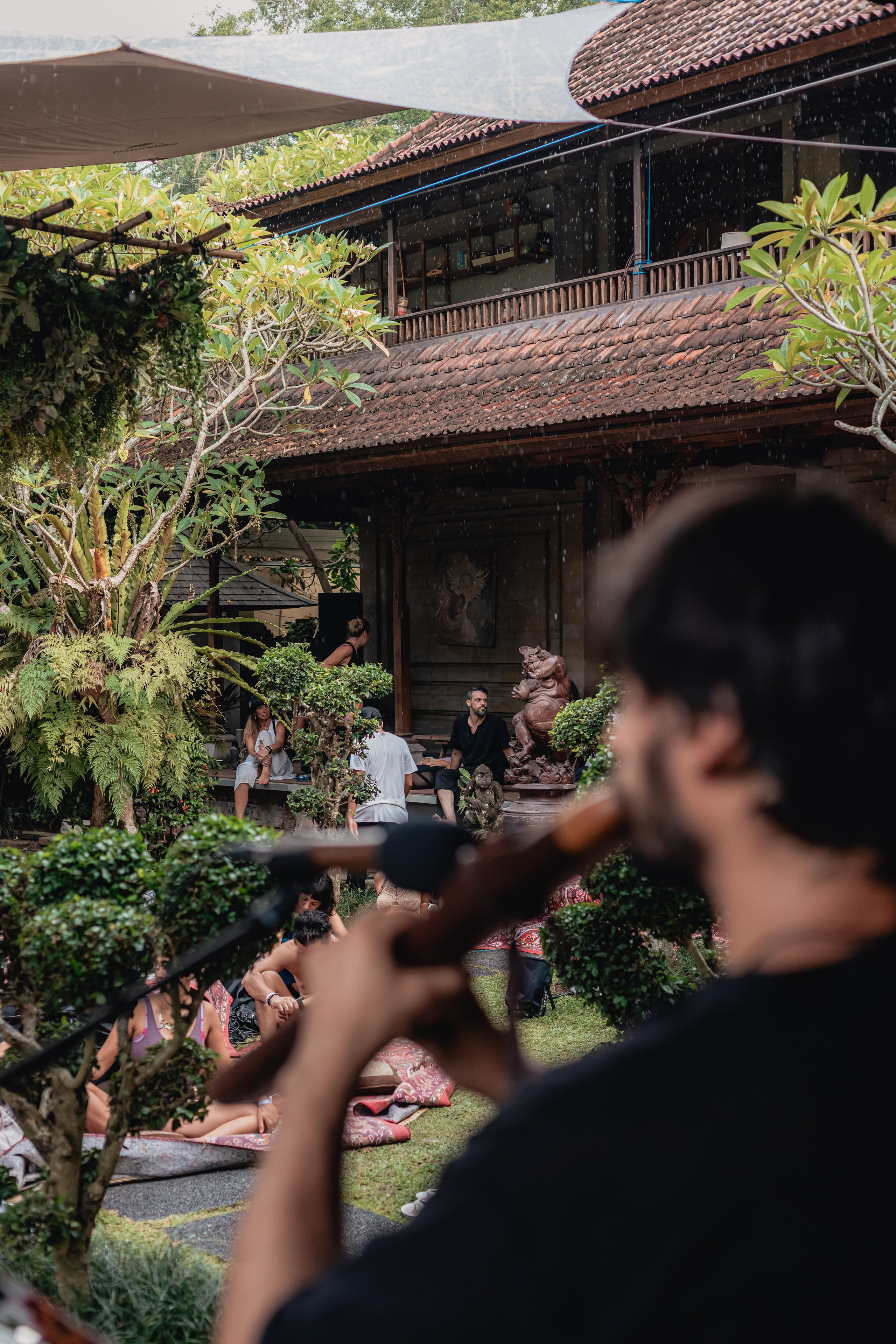 Alegria festival at Zest. Мариам Багдасарян