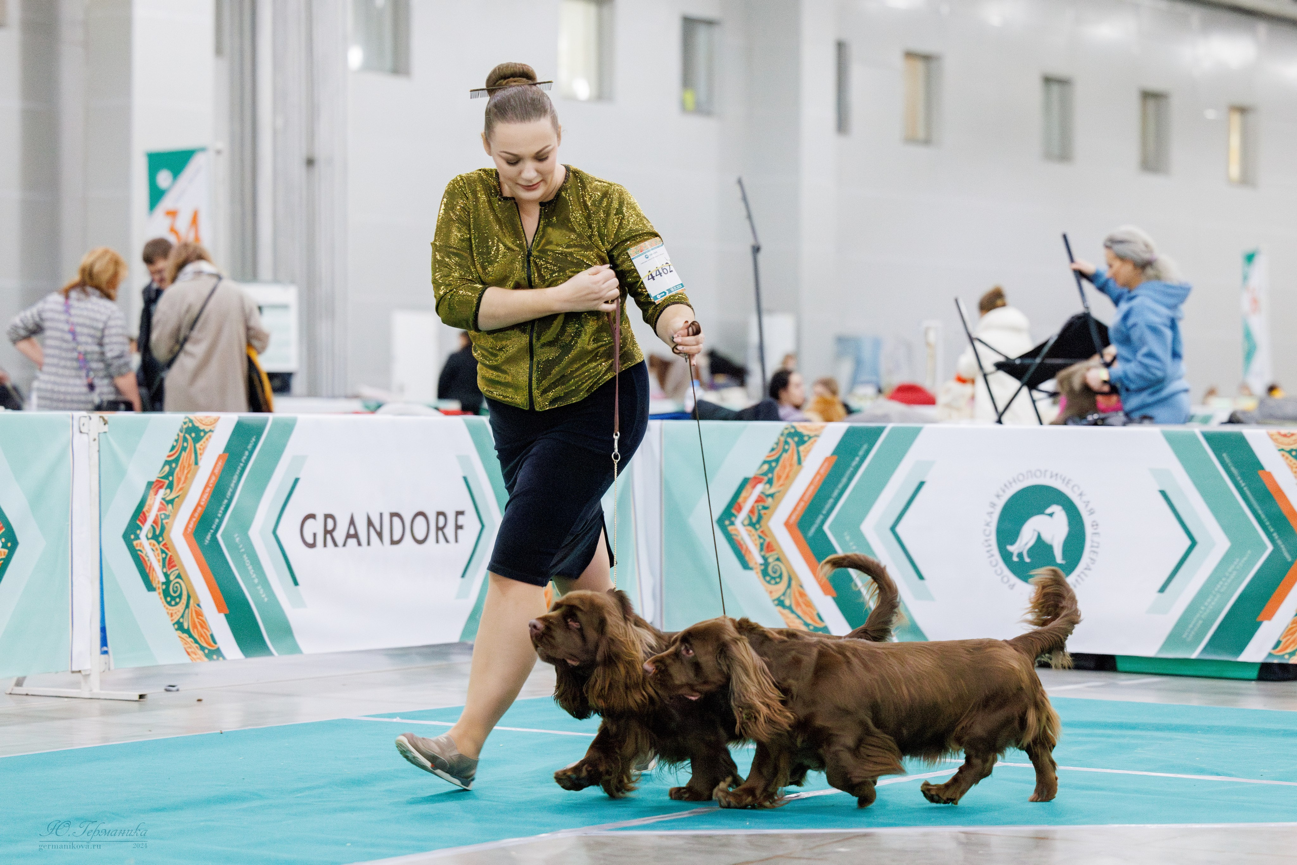 Евразия 16-17.11.2024. Фотограф-анималист Юлия Германика