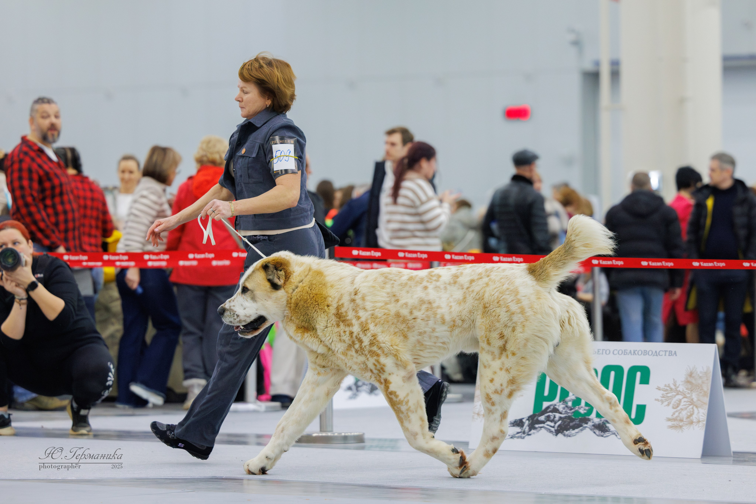 Сабанеевка Казань 25-26.01.2025. Фотограф-анималист Юлия Германика