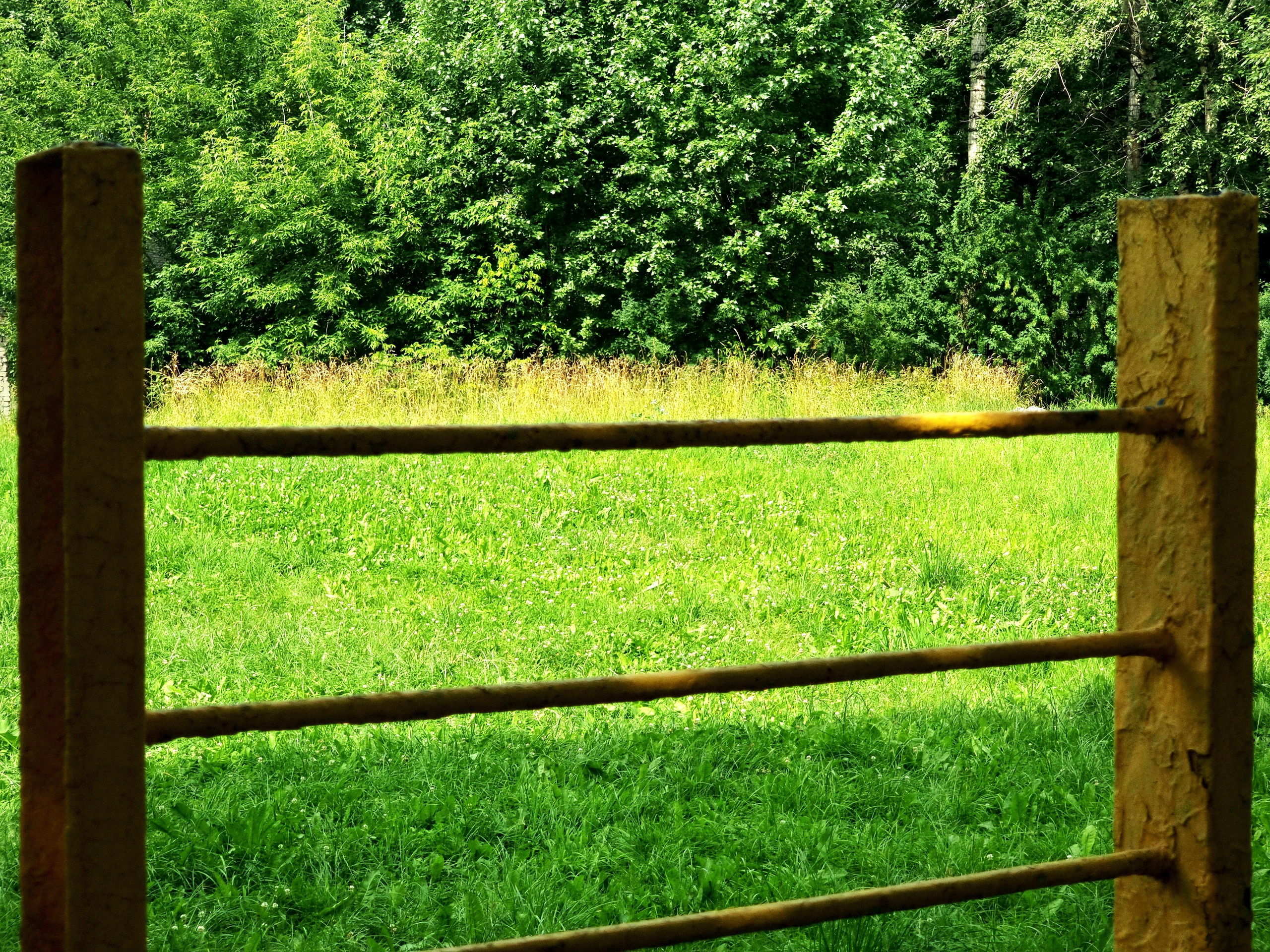 Июль 2025. Den Mirov — Фотограф, Музыкант