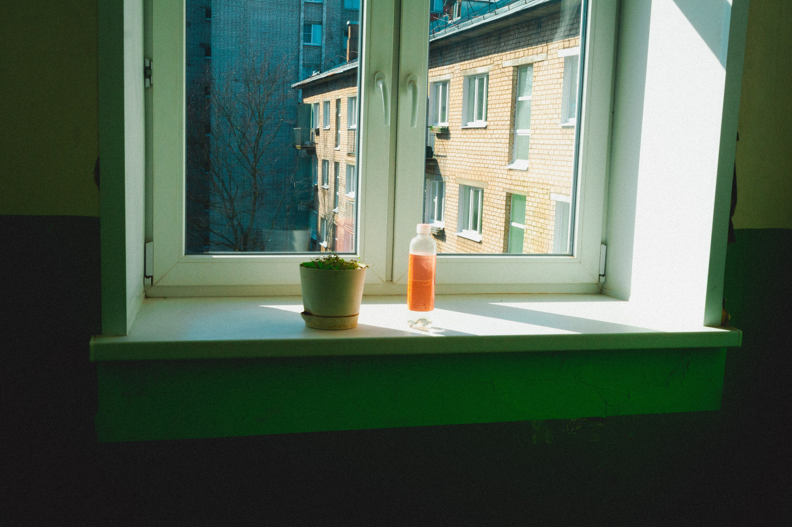 13 years ago. Den Mirov — Photographer, Musician