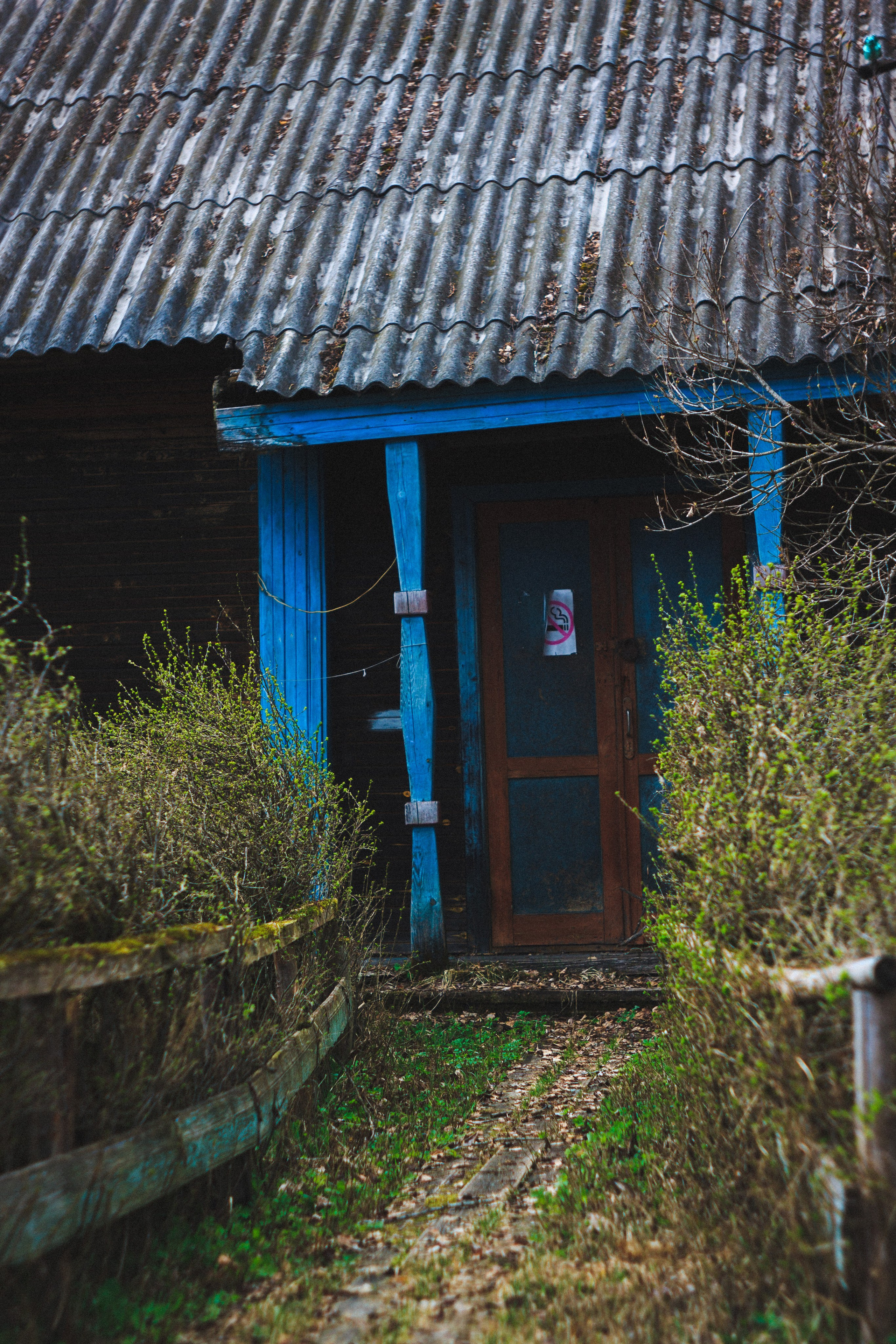 Деревня. Den Mirov — Photographer, Musician