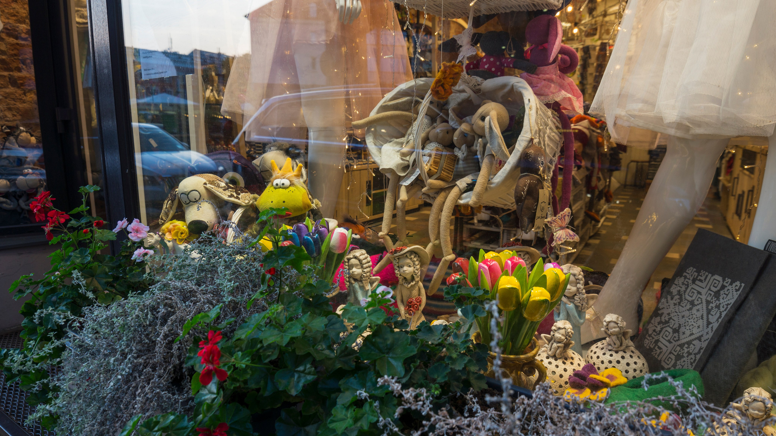 Рига. Фотограф-путешественник Самойлов Максим «Sly Fox»