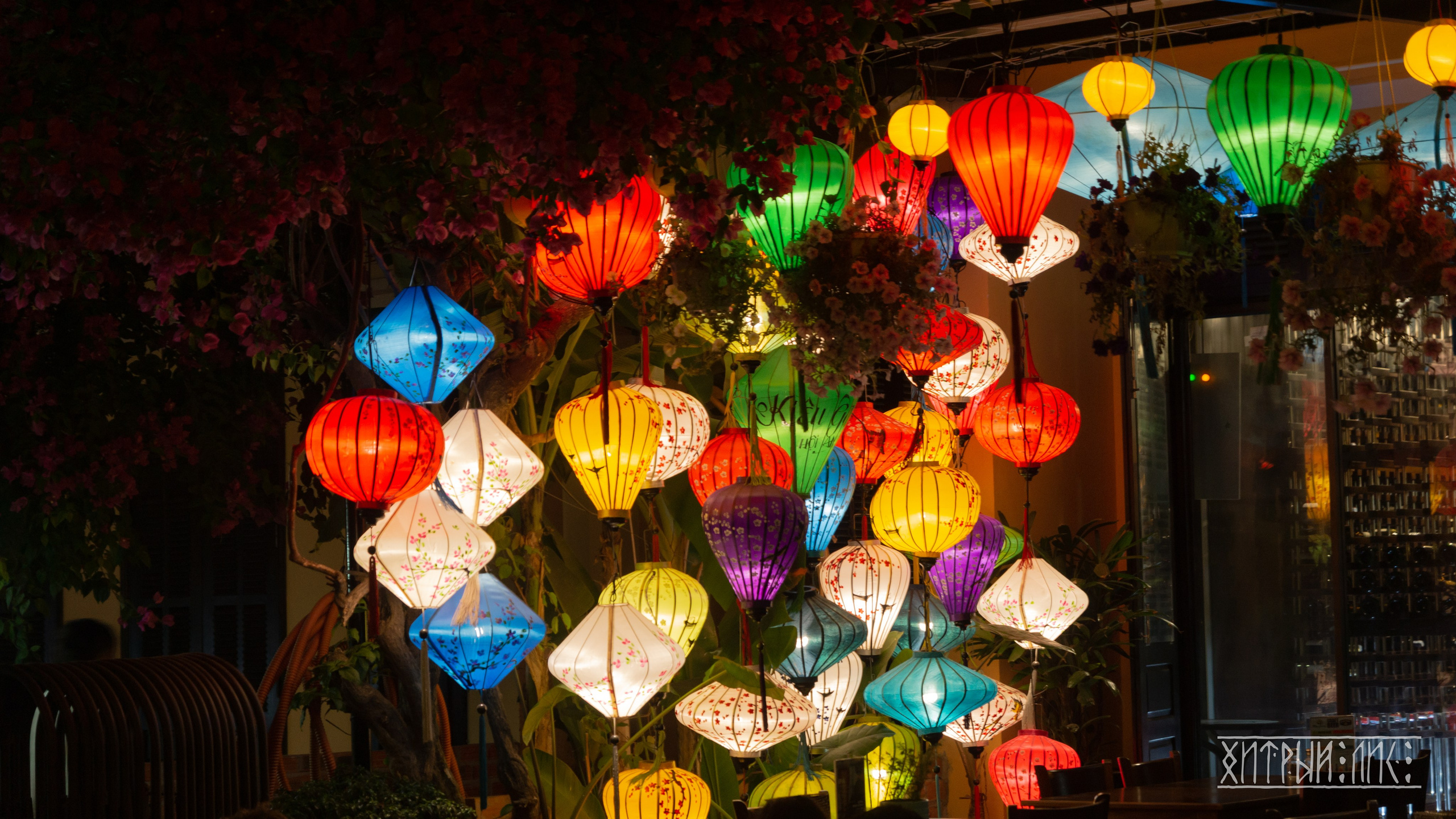 Вьетнам. Фотограф-путешественник Самойлов Максим «Sly Fox»