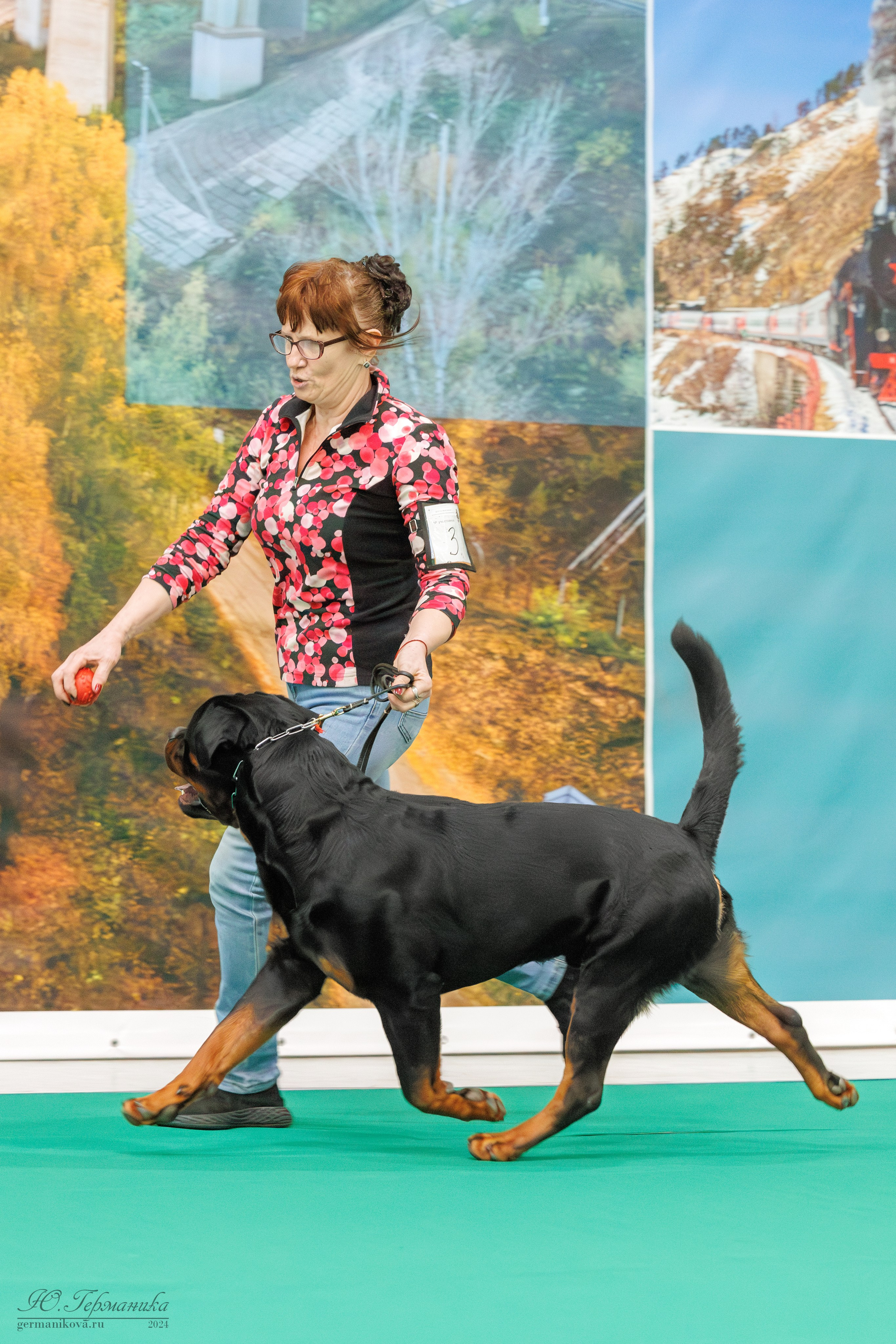 Сфера и Крокус 8,9,16 и 30.03.2025. Фотограф-анималист Юлия Германика