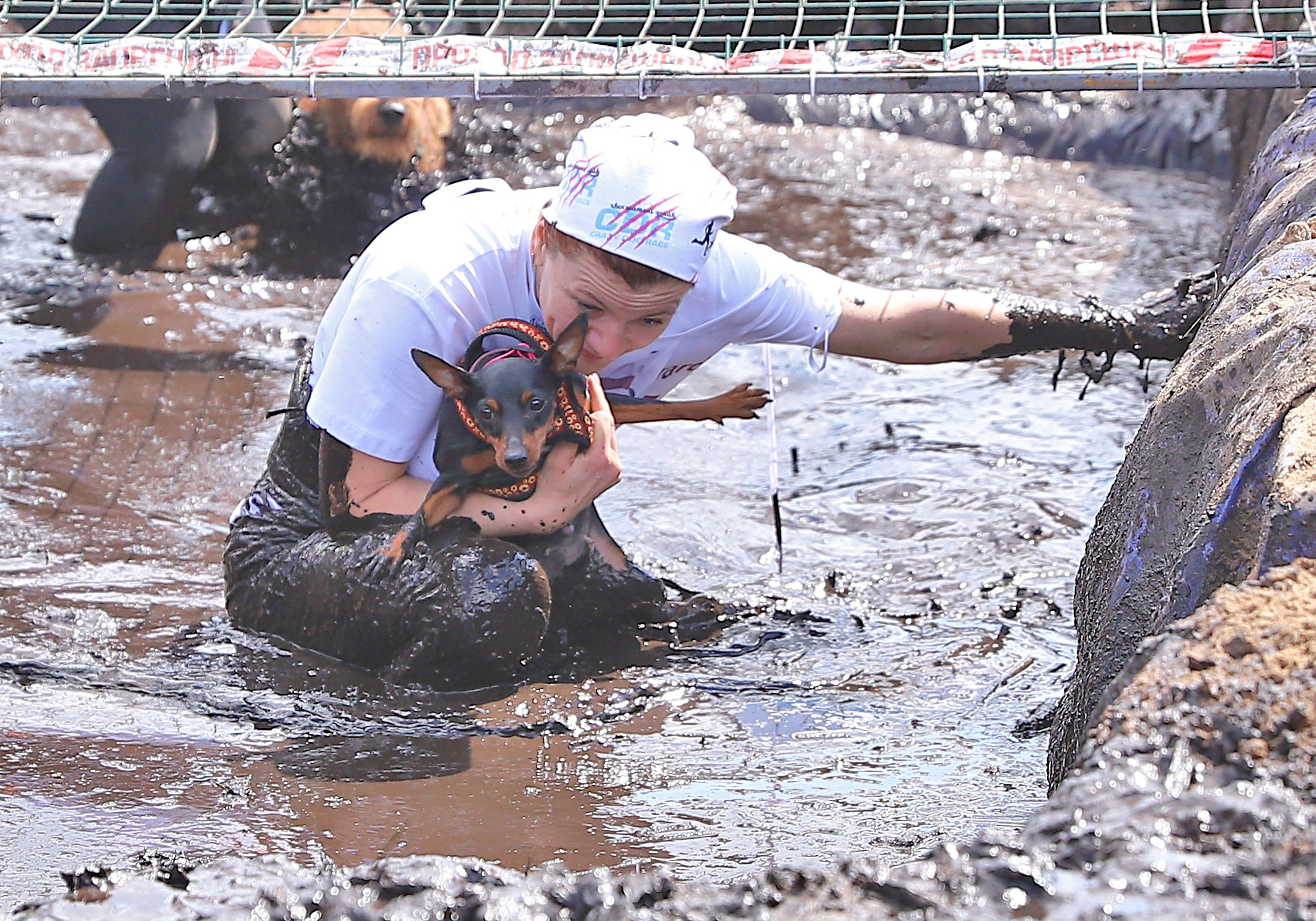 Хвостатый драйв. Семейный и детский фотограф в Москве и МО Елена Москвичева