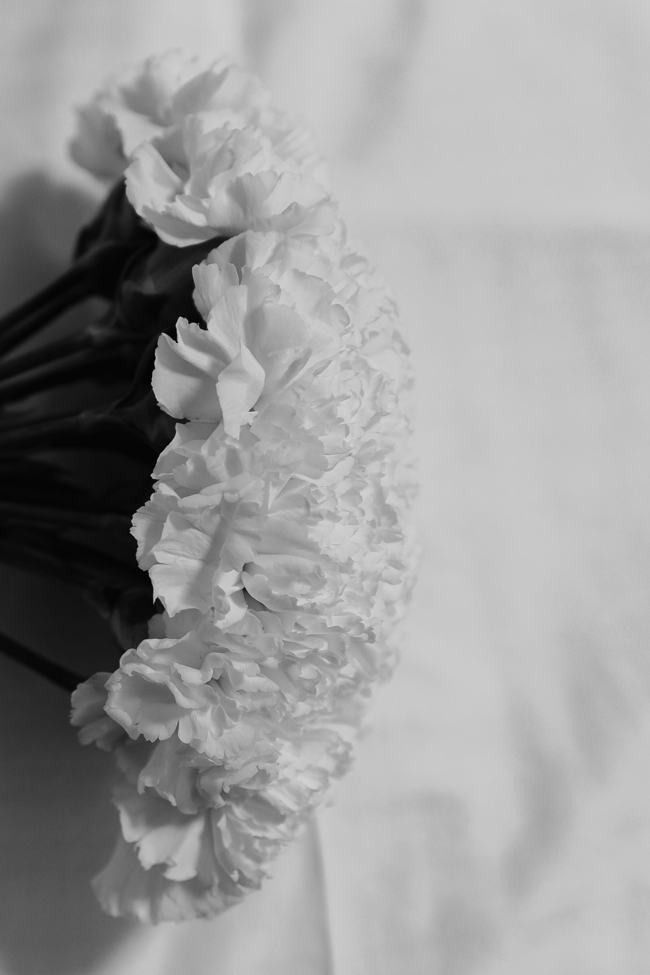 07.05.2024. RETOUCH-HOUSE