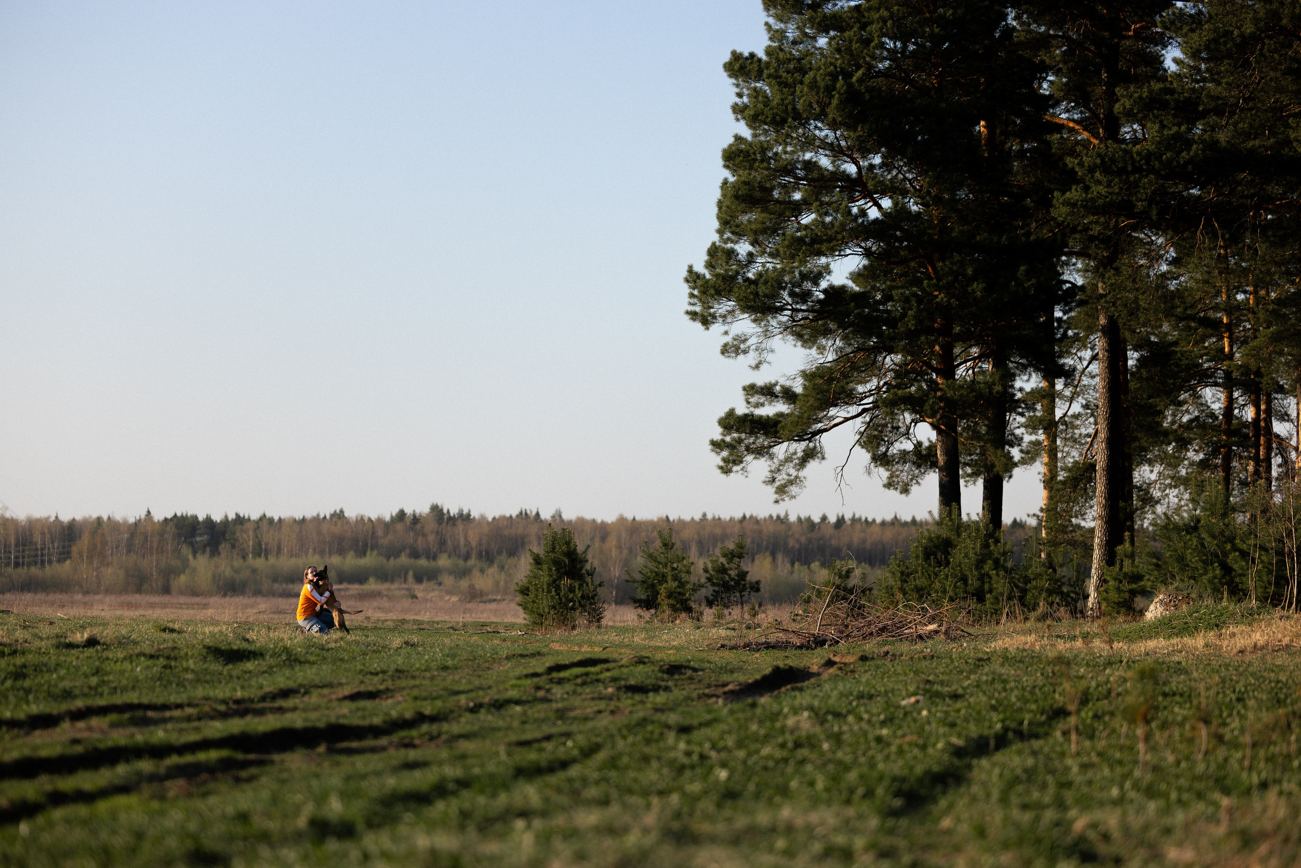 Разношерстная компания. Фотограф и видеограф анималист Аганина Дарья