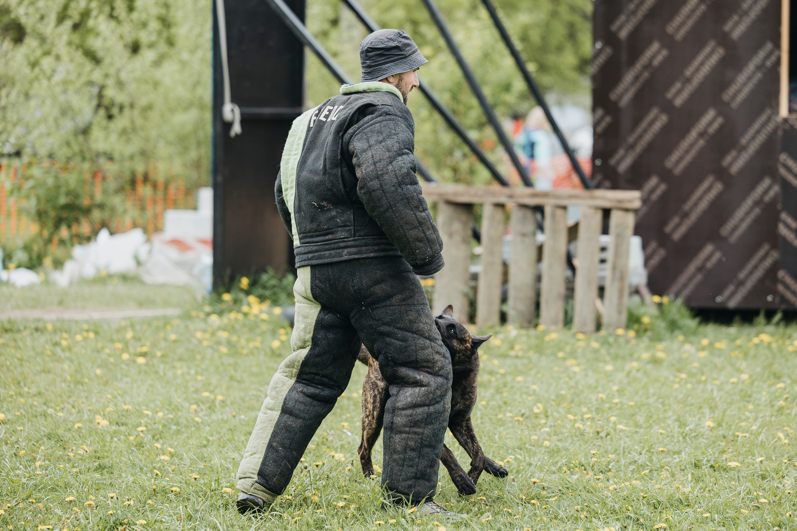 26.05.25 г. Пушкин квалификационные соревнования. Фотограф-анималист Анна Маринич