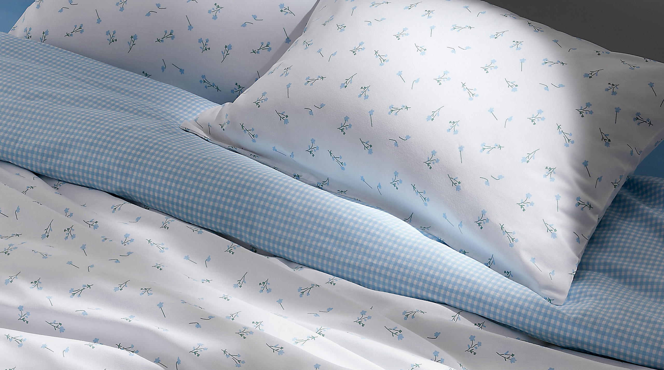 Олег Дмитриев