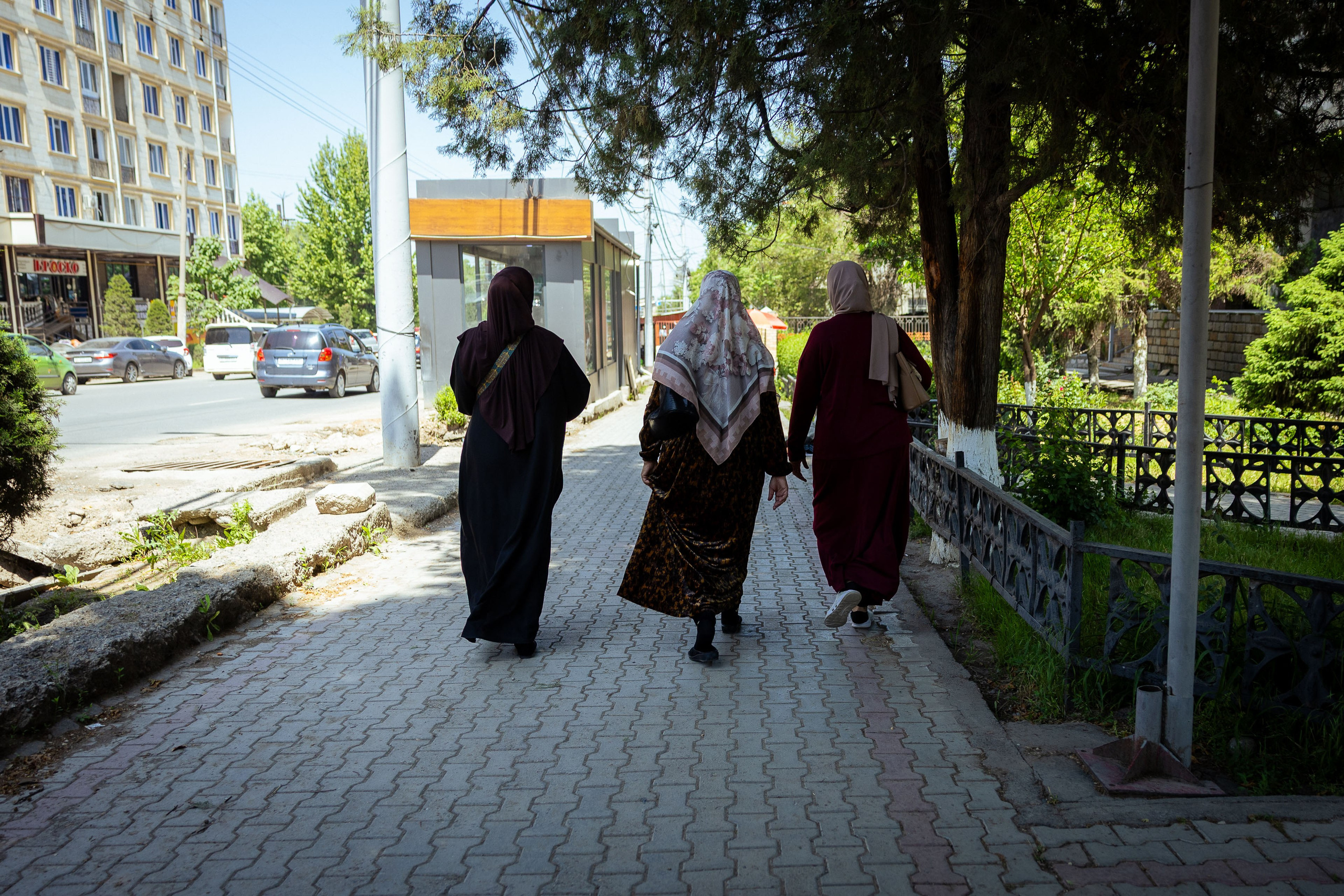 Кыргызстан (весна 2025). Фотограф Виноградов Константин