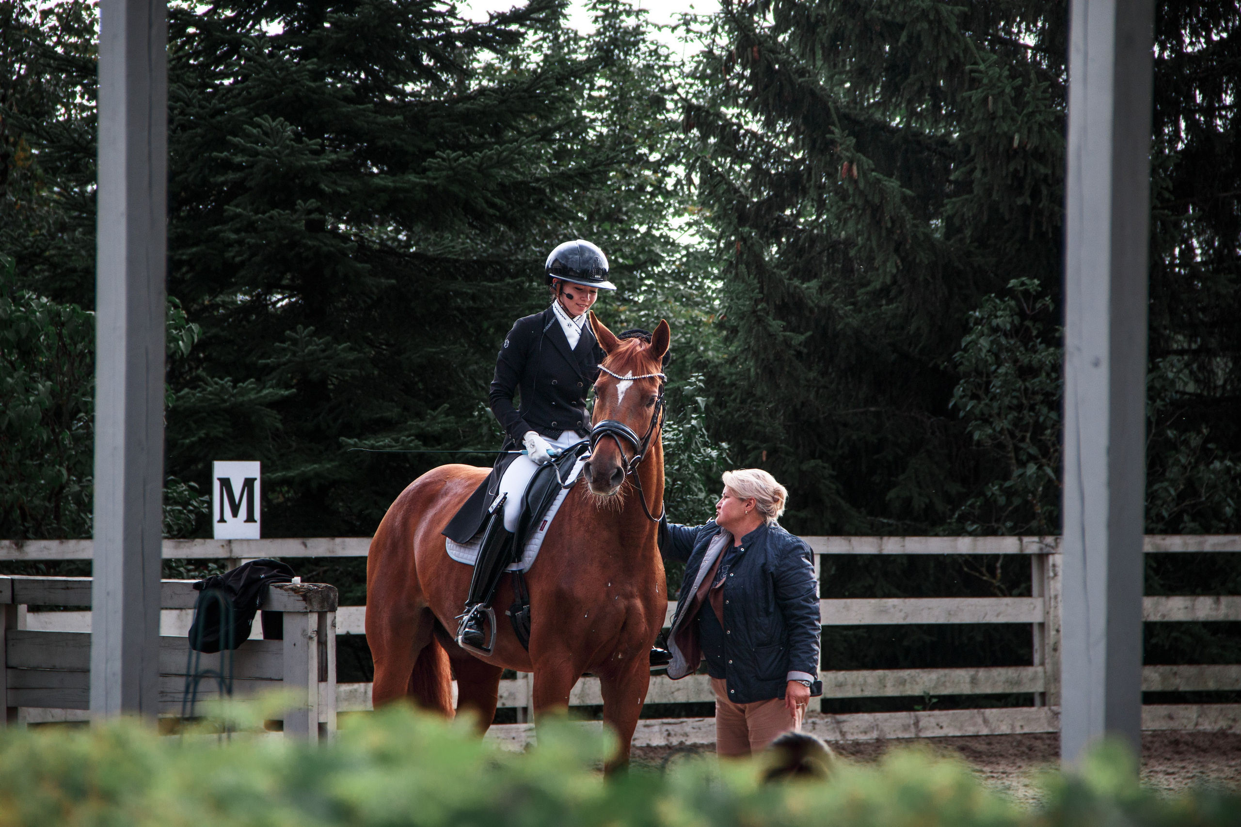 Animals. Фотограф/Видеограф