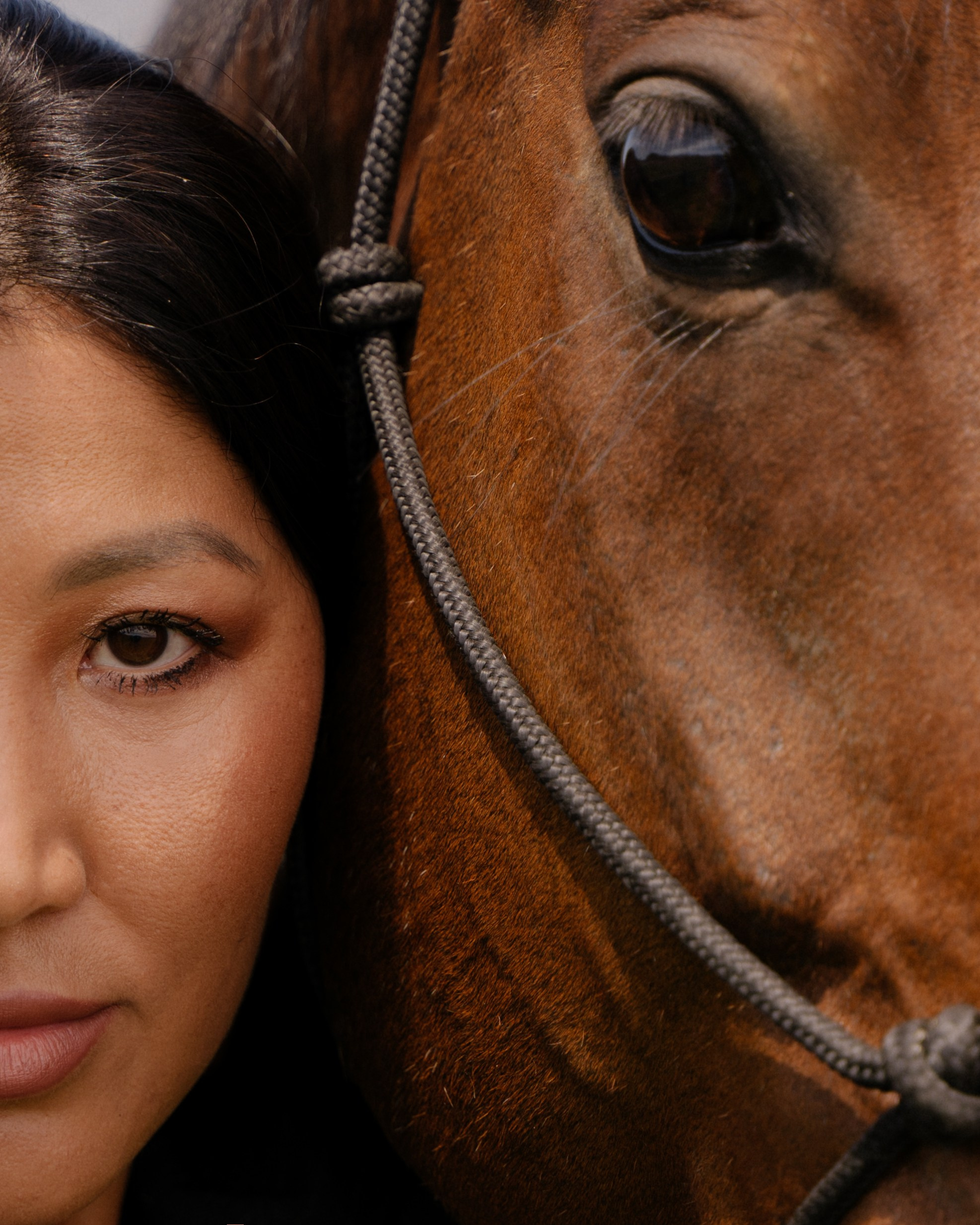 Horse riding. Фотограф в Кейптауне