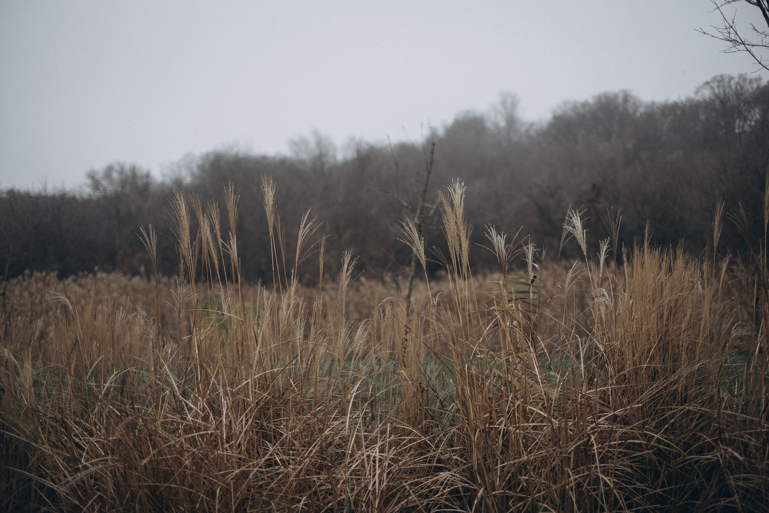 Таня и Ника. Семейный фотограф в Ростове-на-Дону Яна Макаренко
