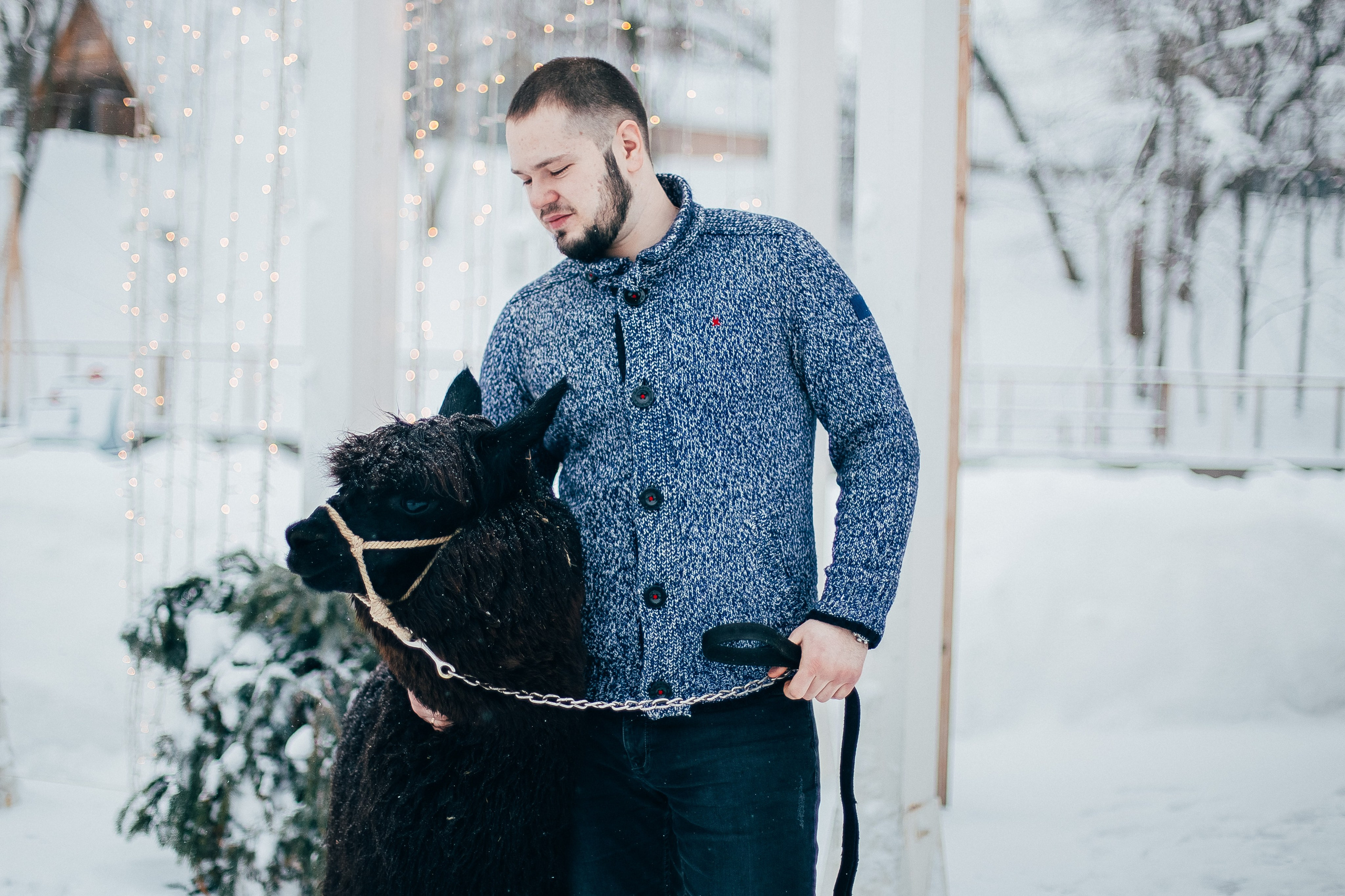 Антон и Анастасия. Свадебный и семейный фотограф Екатерина Бубнова