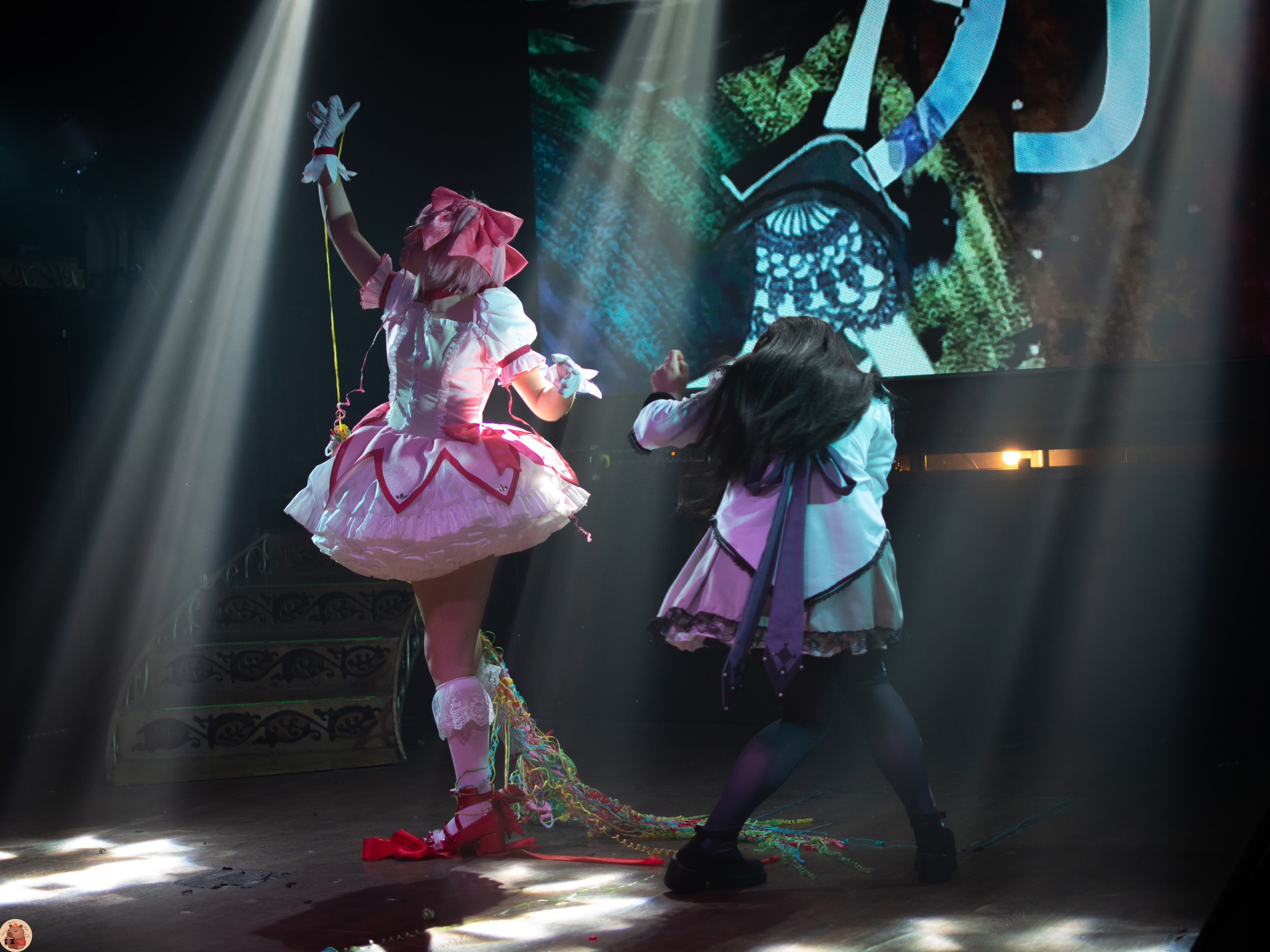 Hanami Party: You are the perfect idol. Пруд Капибарки