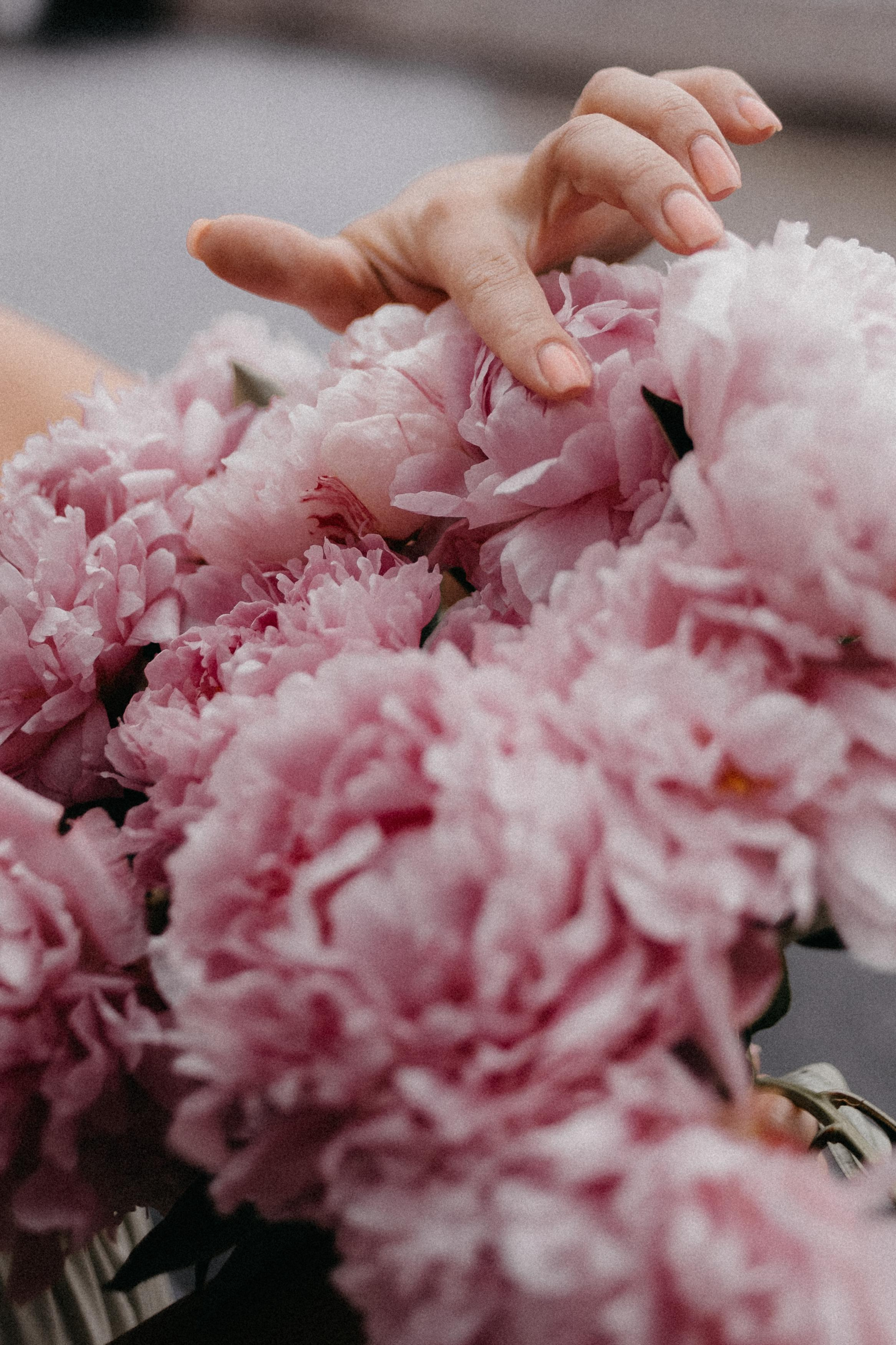 Контент для флориста. Фотограф в Санкт-Петербурге Вера Сивенкова