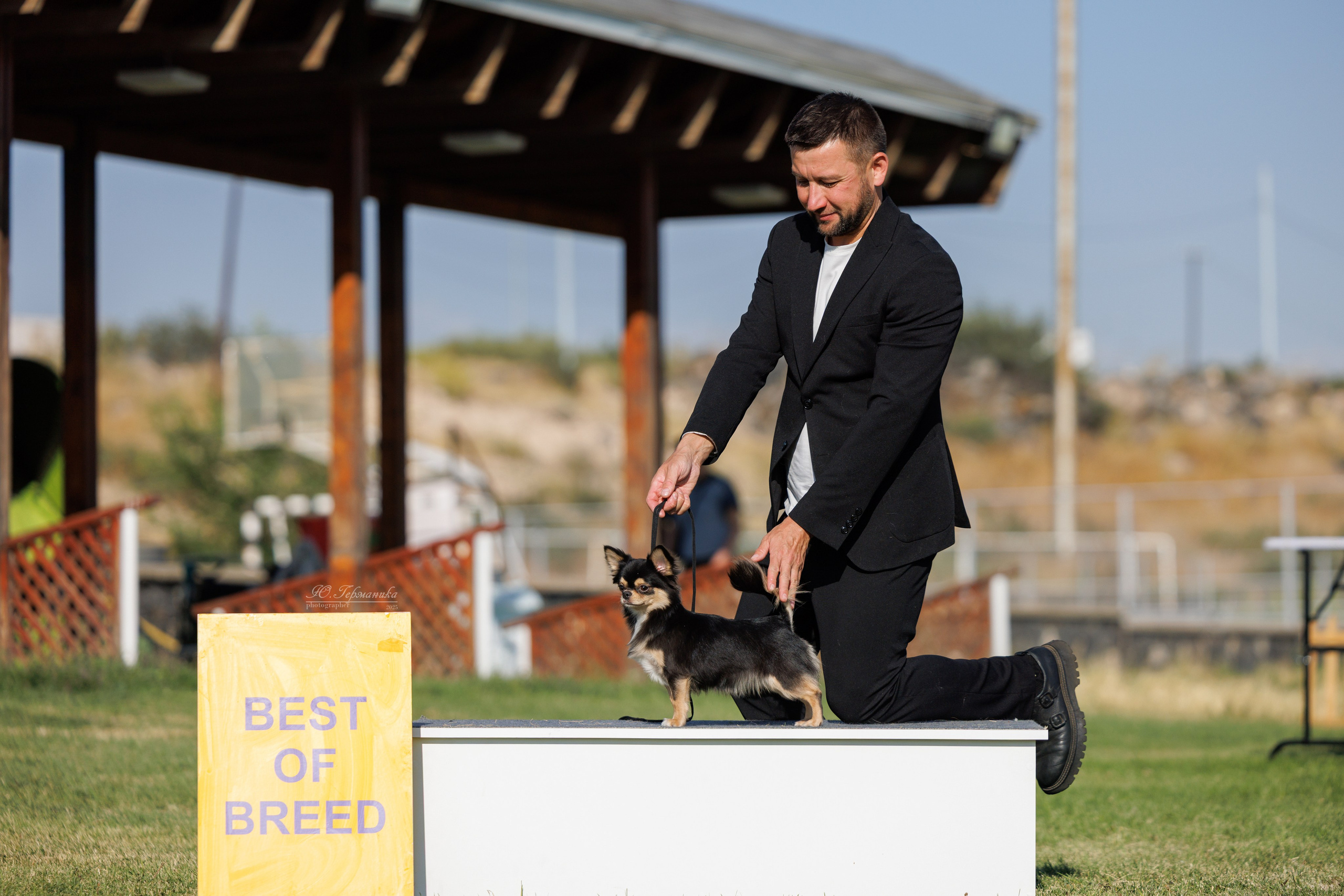 Ереван 3хCACIB 23-25.06.2025. Фотограф-анималист Юлия Германика