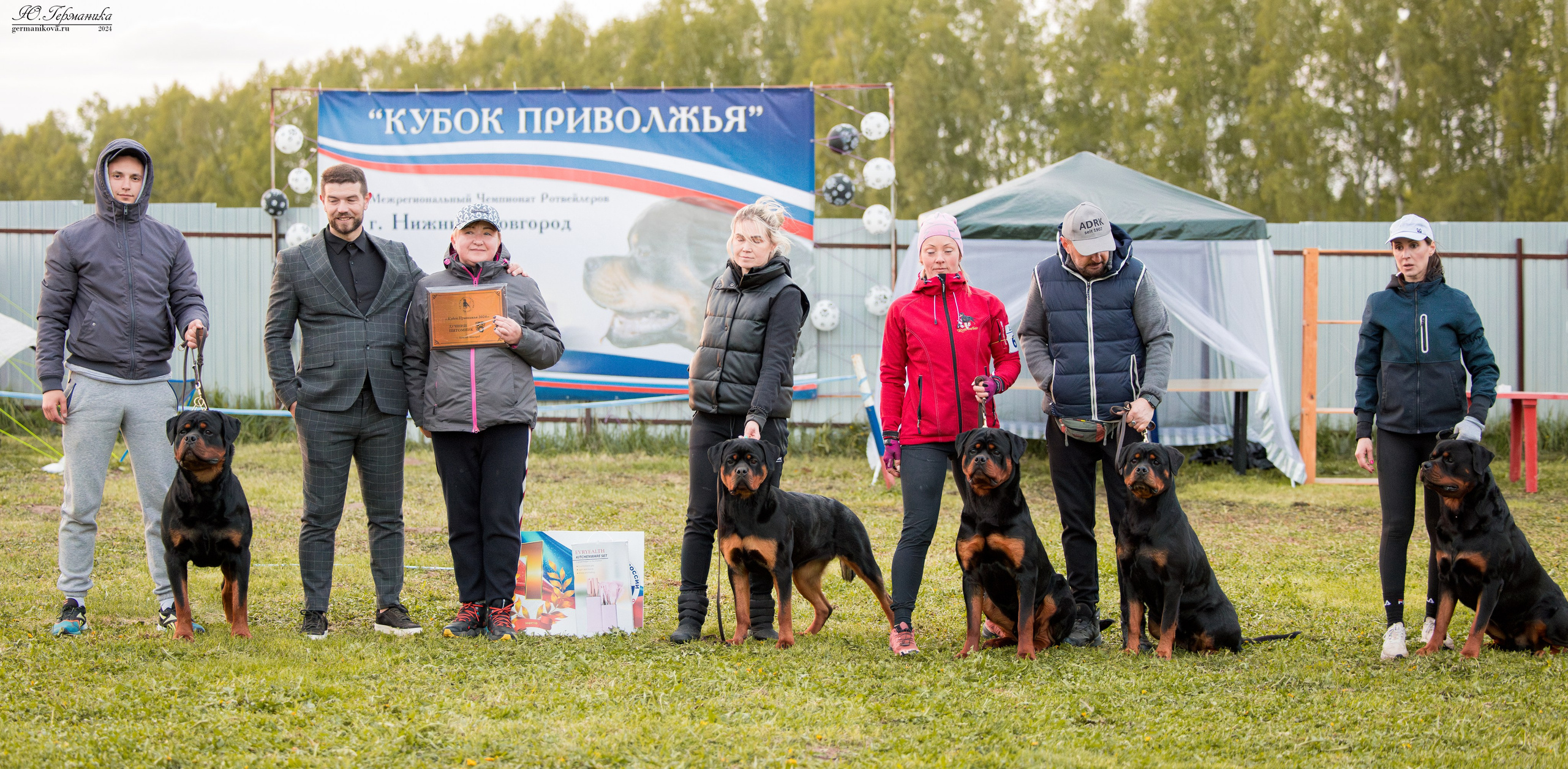 Нижний Новгород 11-12.05.2024 моно ротвейлеров. Фотограф-анималист Юлия Германика