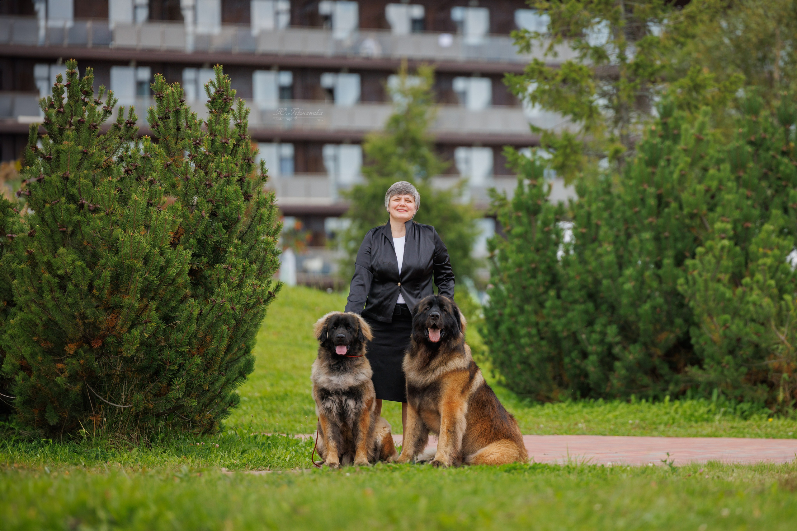 Переславль 5-7.08.2025. Фотограф-анималист Юлия Германика
