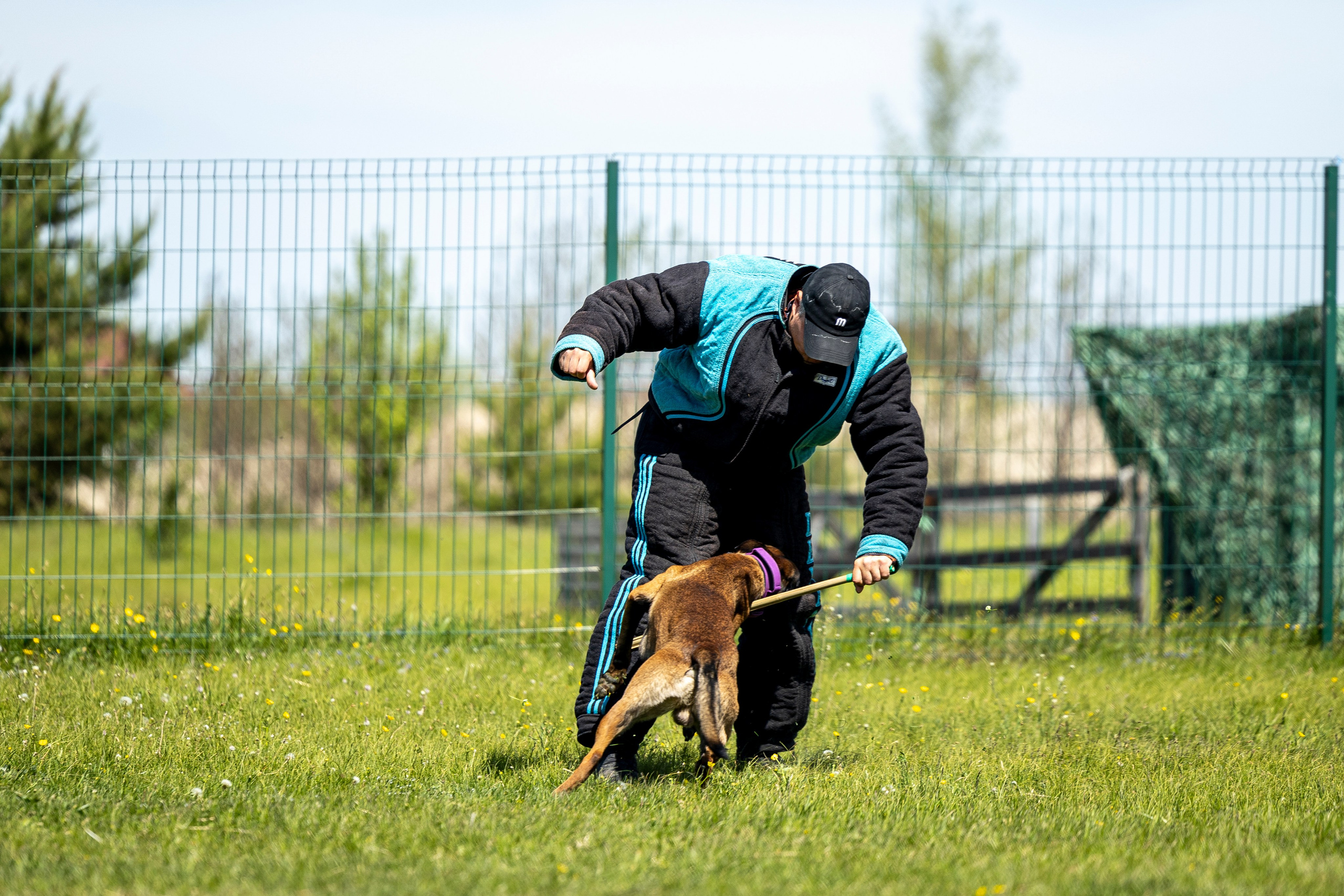 Испытания по мондьорингу в Нижнем Новгороде. Фотограф-анималист Анна Маринич