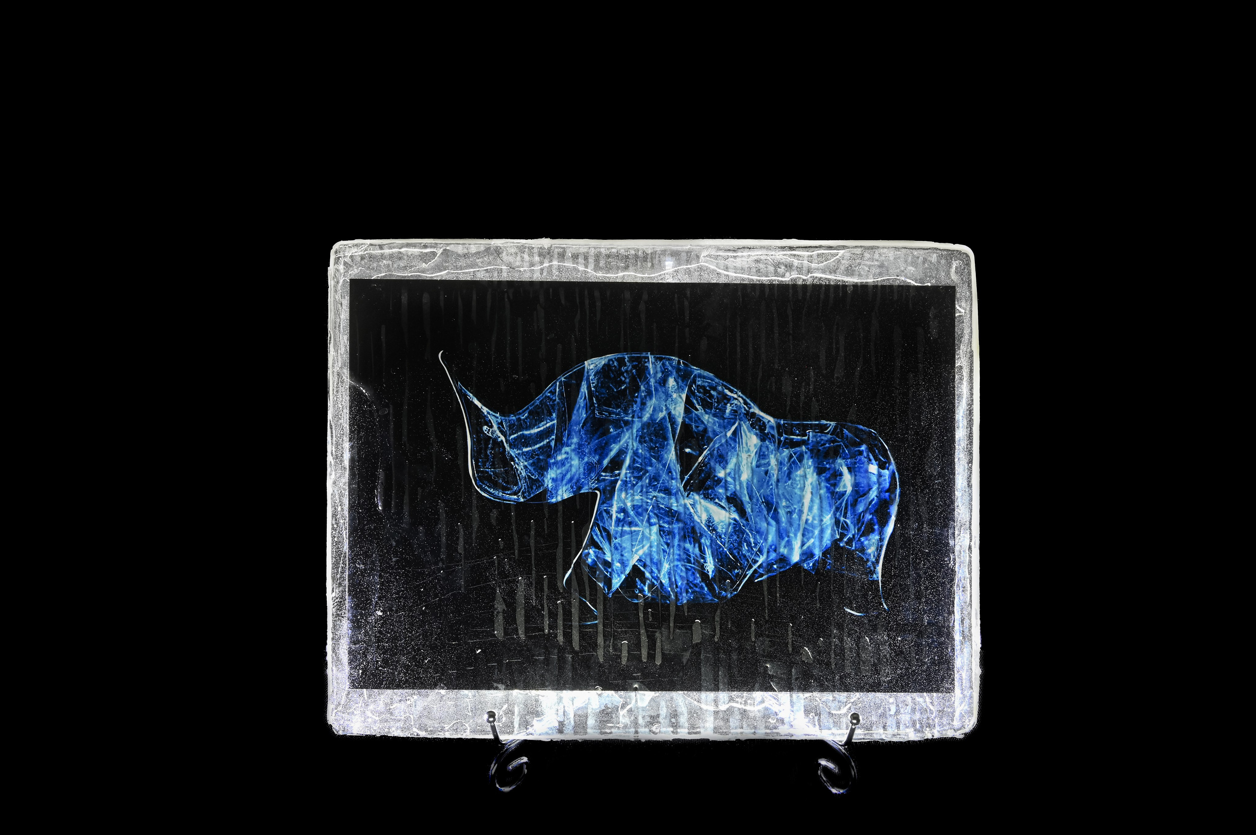 Западный чёрный носорог. 2024 год. Размер : 30 см на 40 см. LightJet бумага Pearl, ламинация хол.глянцевая, накатка Dibond, эпоксидная смола. Цена по запросу