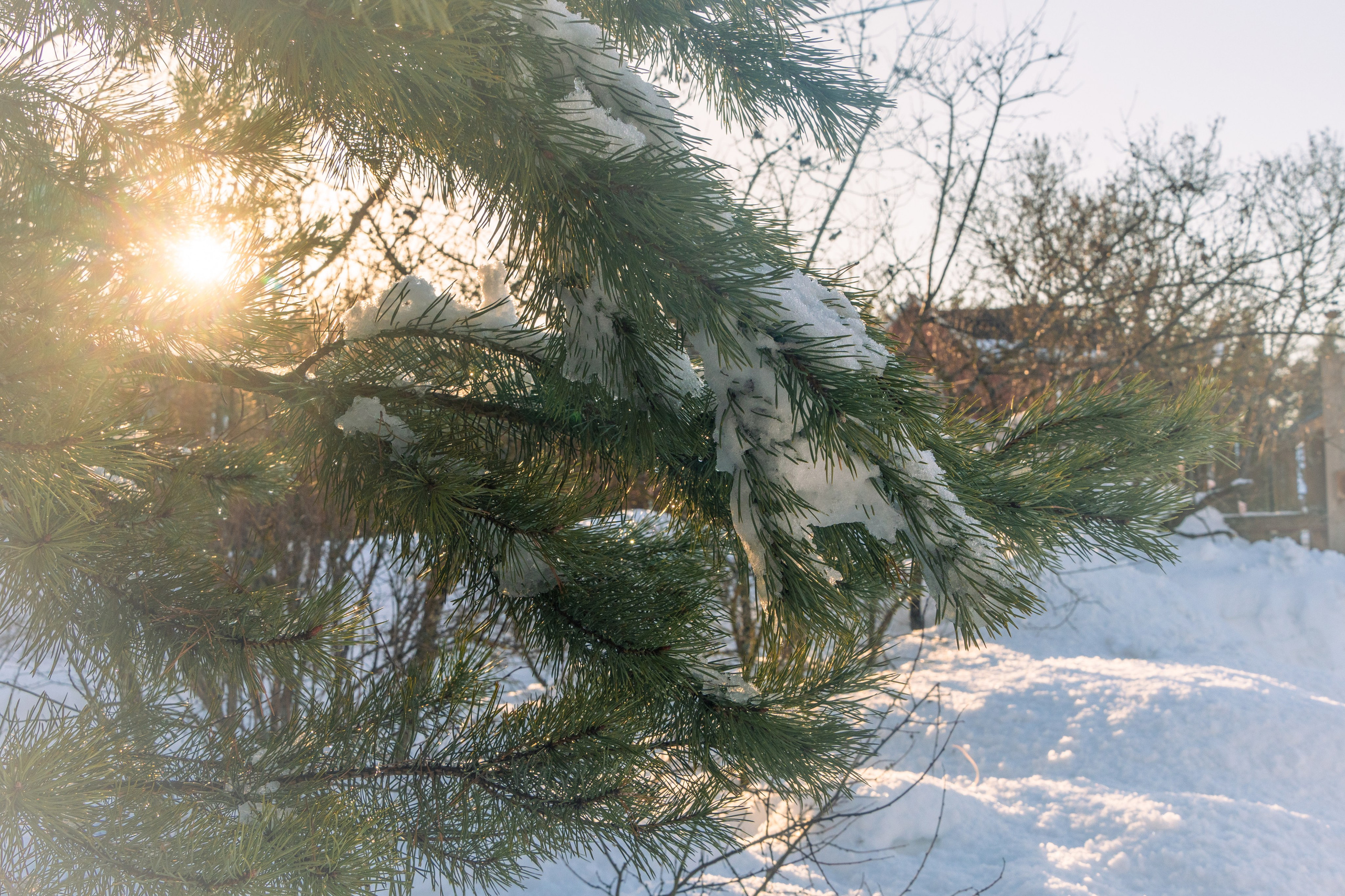 Стрит‑фото: жизнь города в кадре — реальные моменты. FM Media Сrew. Репортажные фото и видео