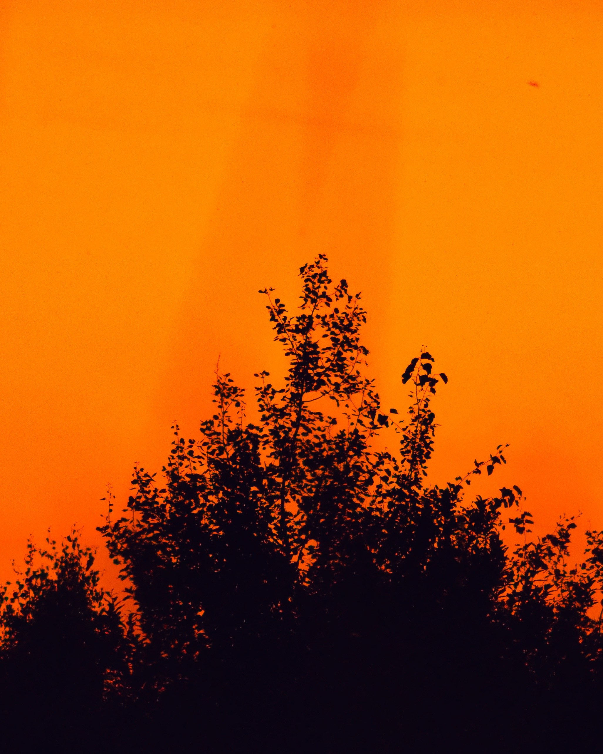 Стрит‑фото: жизнь города в кадре — реальные моменты. FM Media Сrew. Репортажные фото и видео