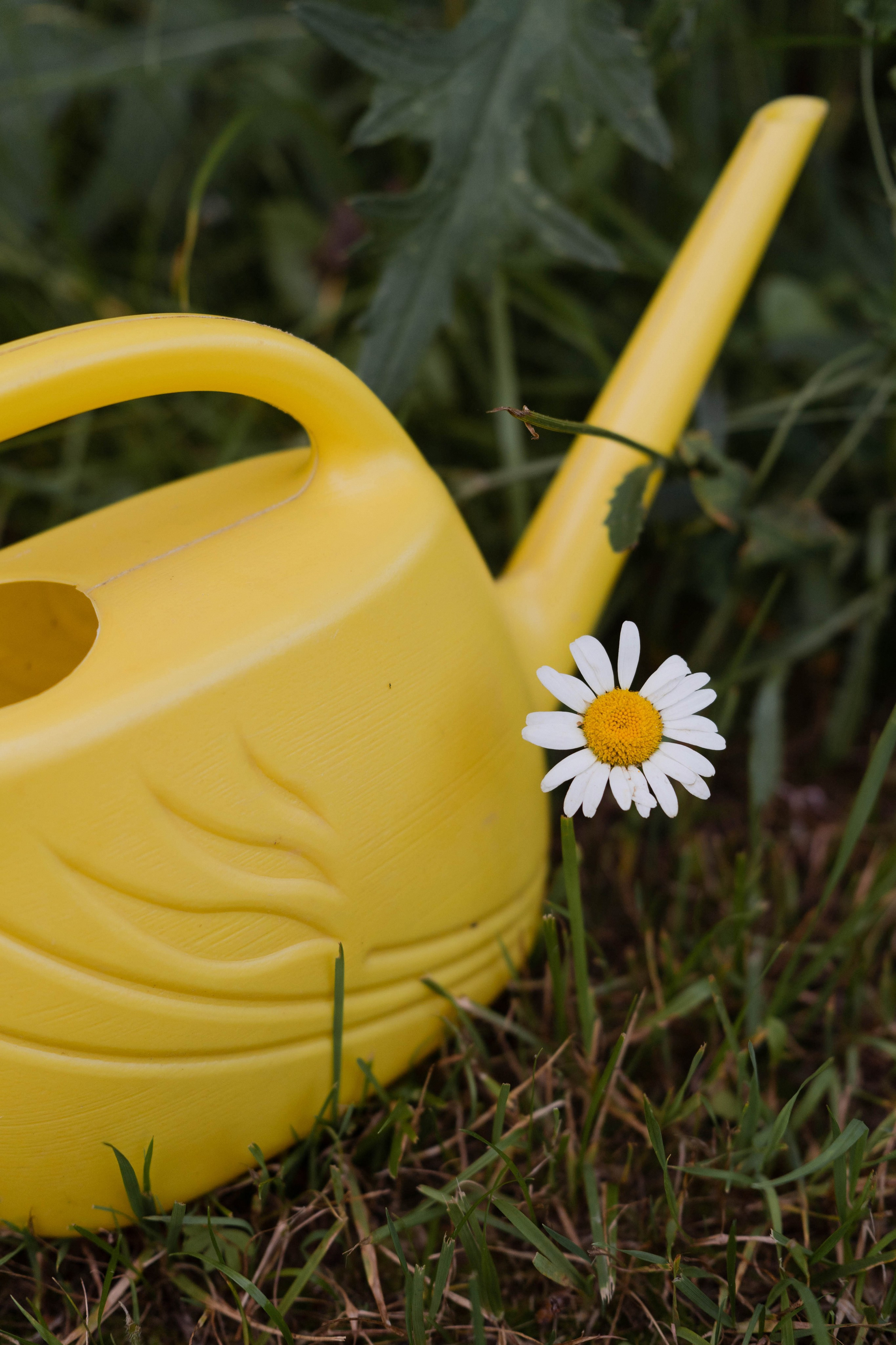 Семейные истории. ФОТОГРАФ КСЕНИЯ СОСНОВСКАЯ