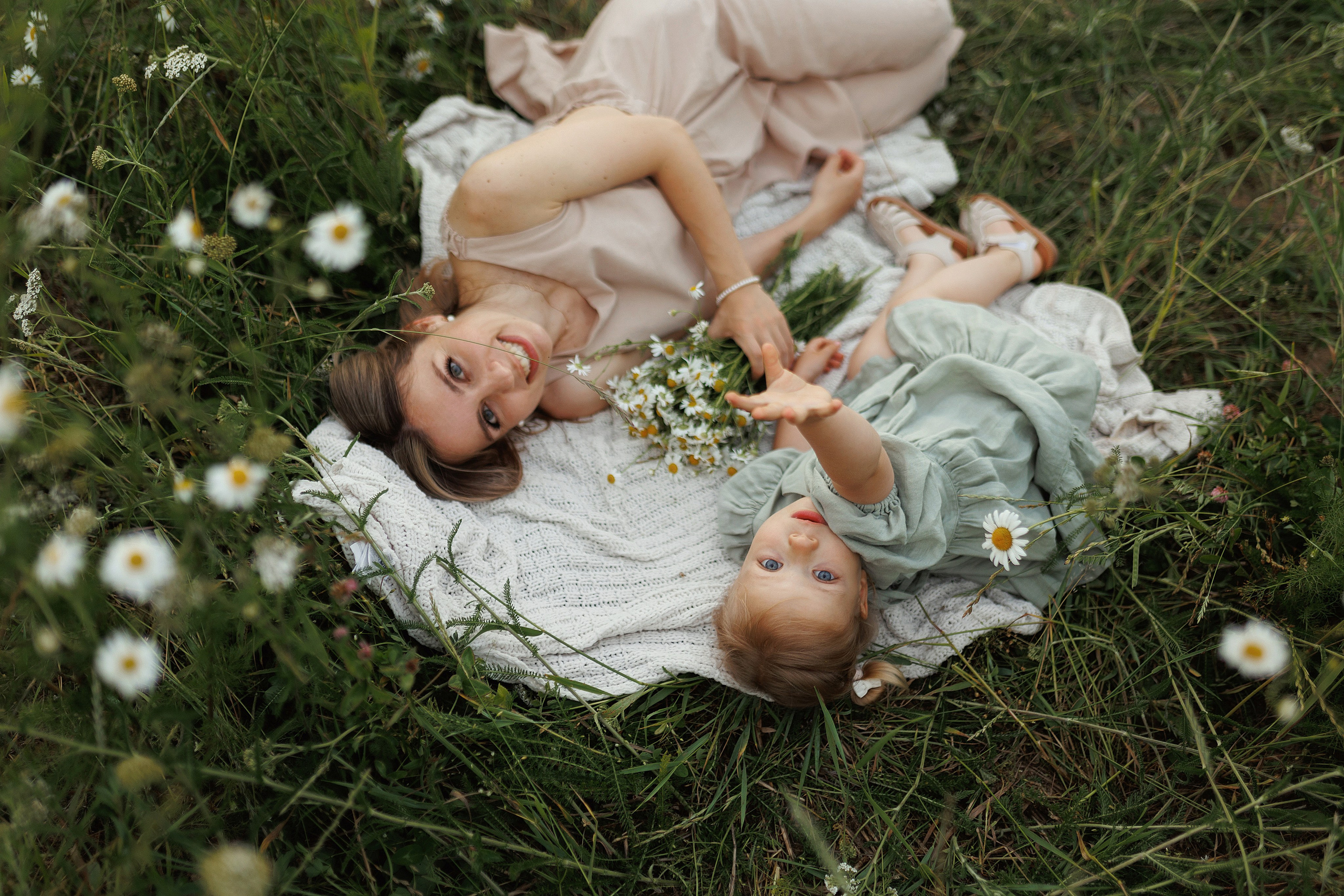 В ромашковом поле. Фотограф в Красногорске и Москве