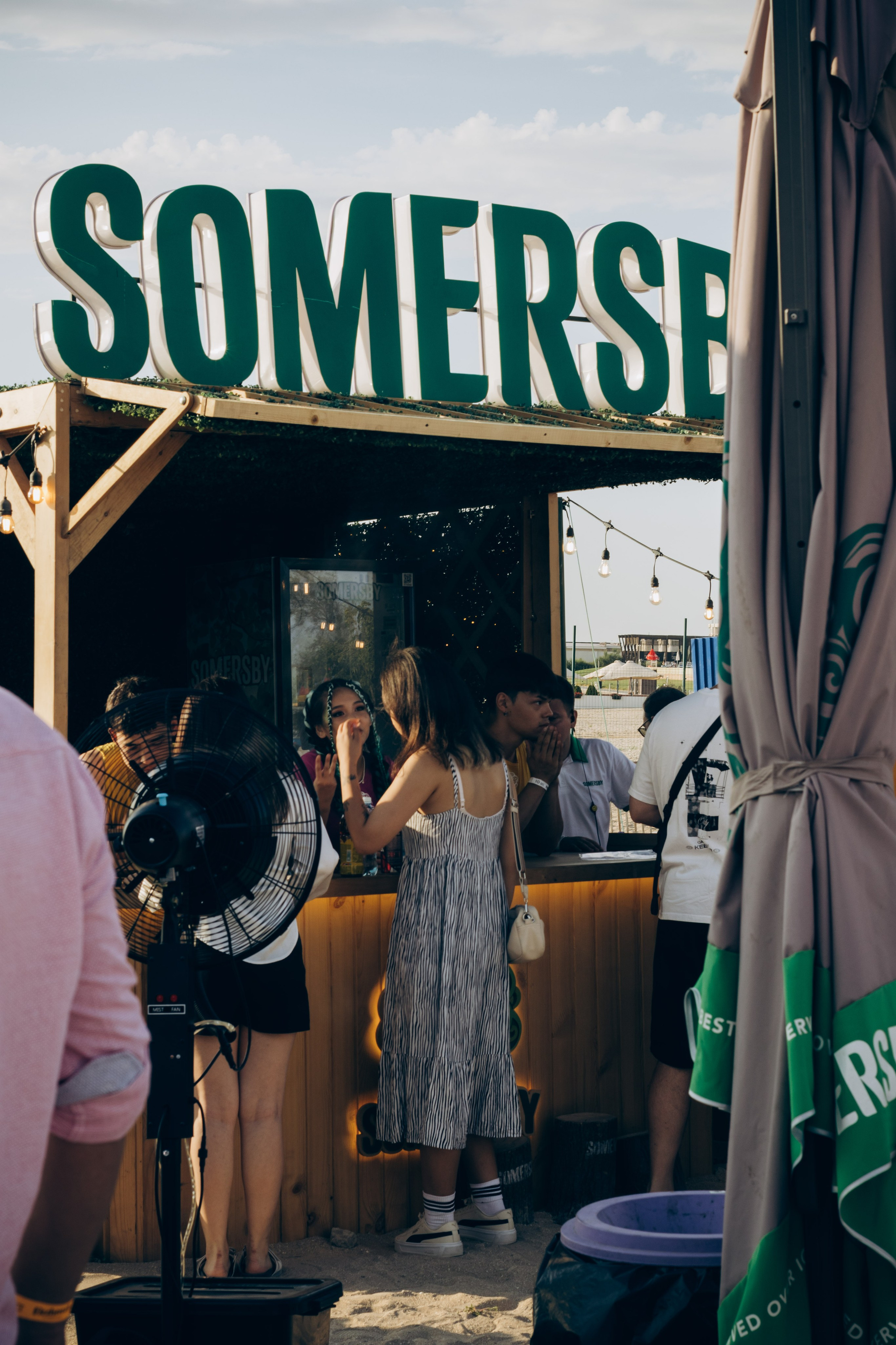 Picnic by partners. Главная