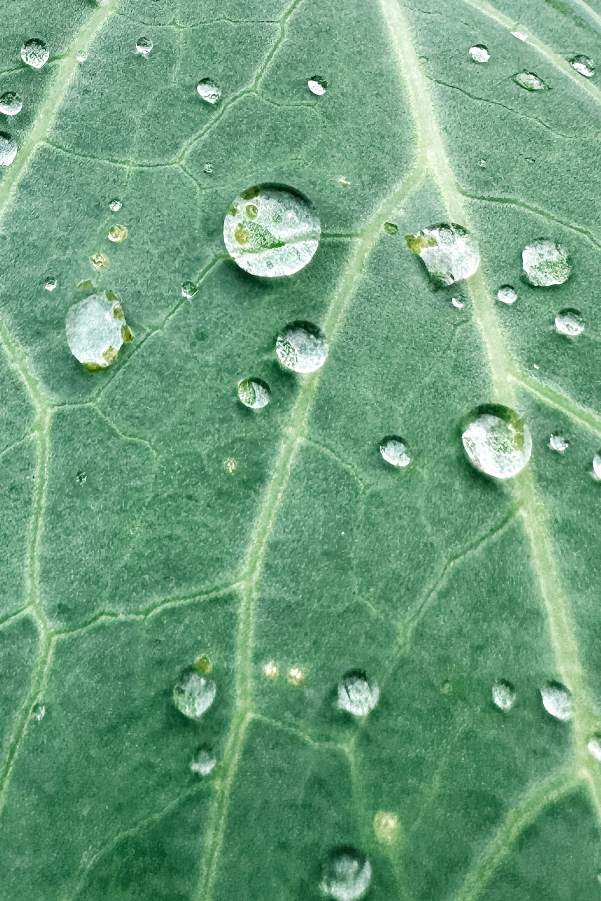 Природа. Команда фотографов Кристины Ивановой