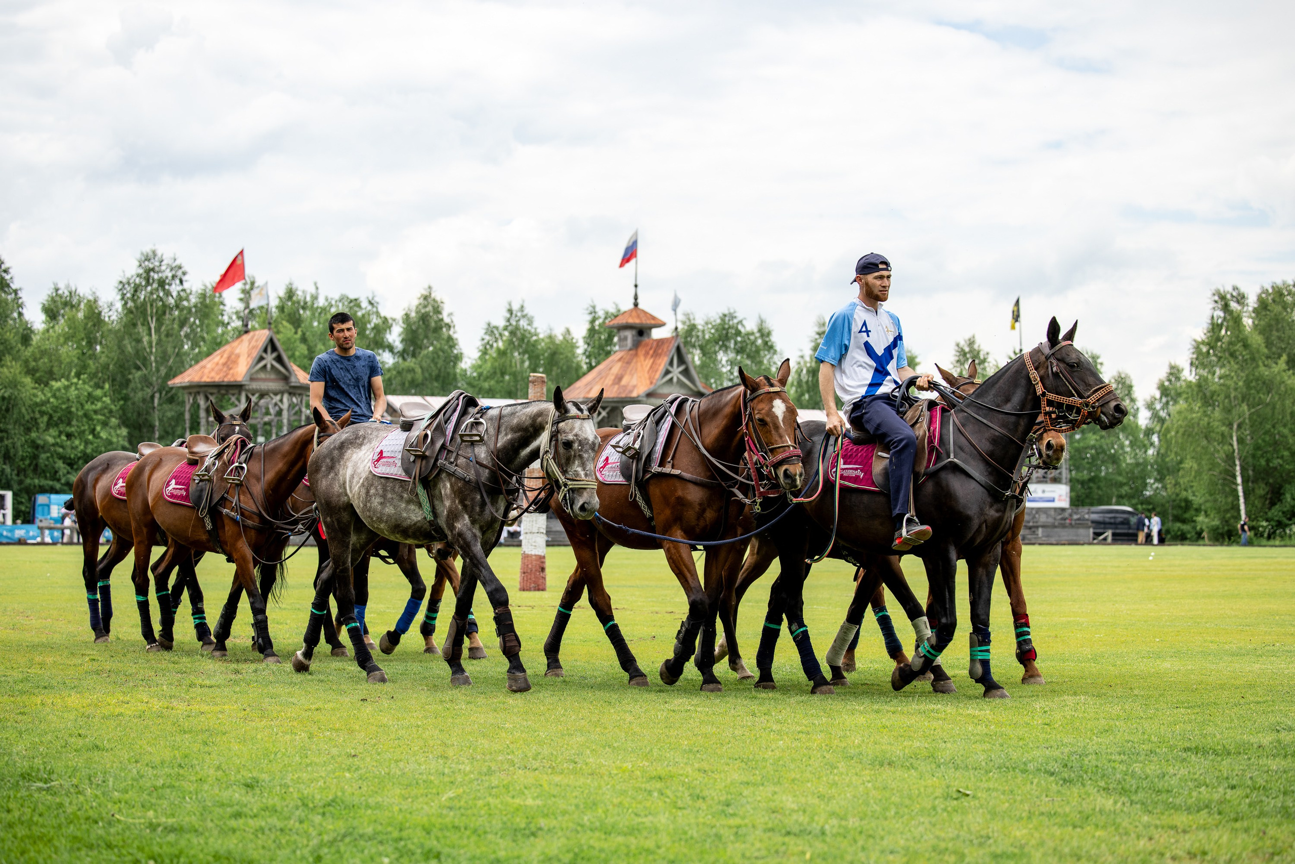 Конное поло. Mrs.Aquarelia Конный фотограф Марианна Леонтьева