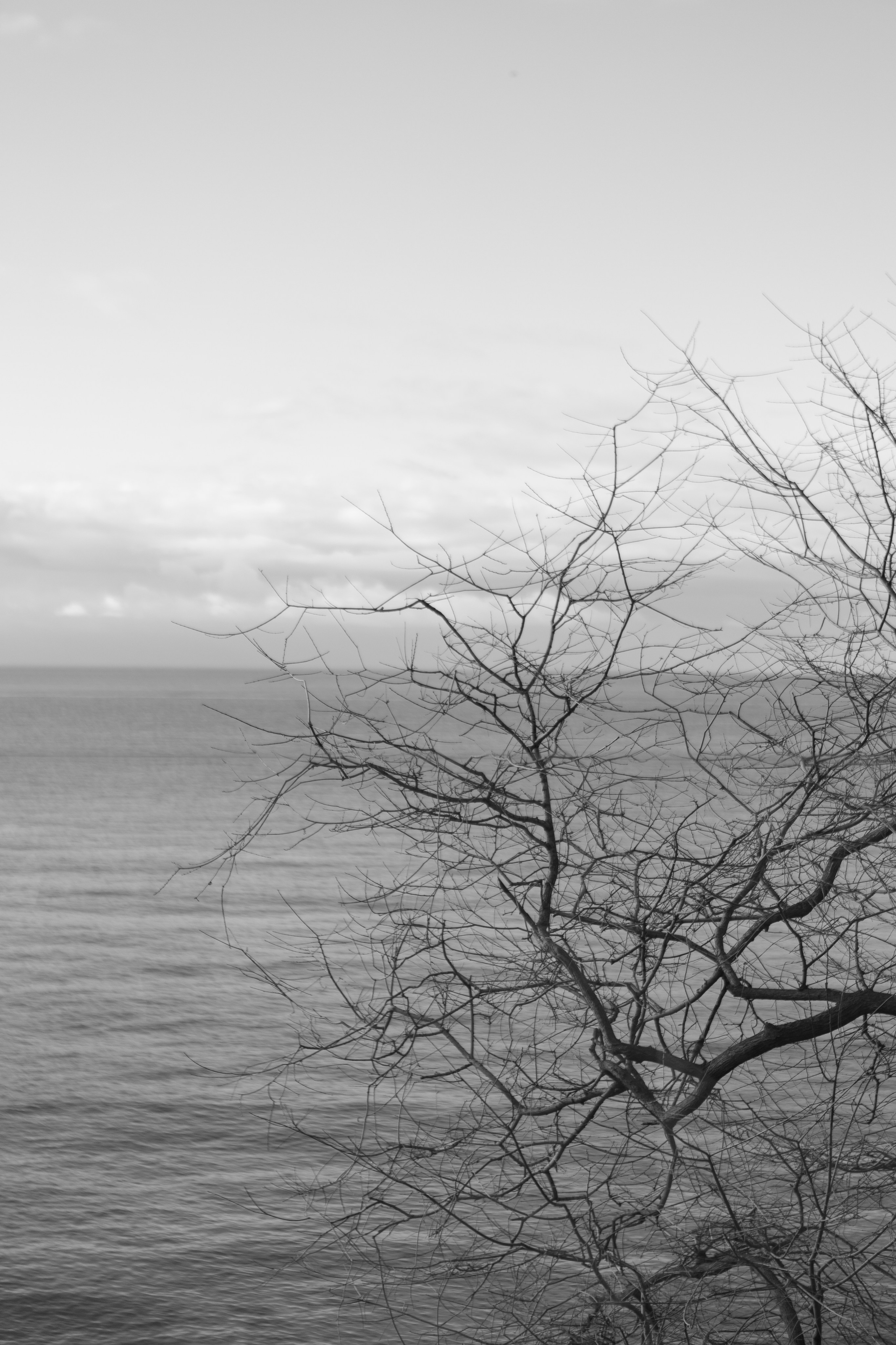 Sochi. Свадебный фотограф в Туле, Москве и по всей России Ангелина Зеленина