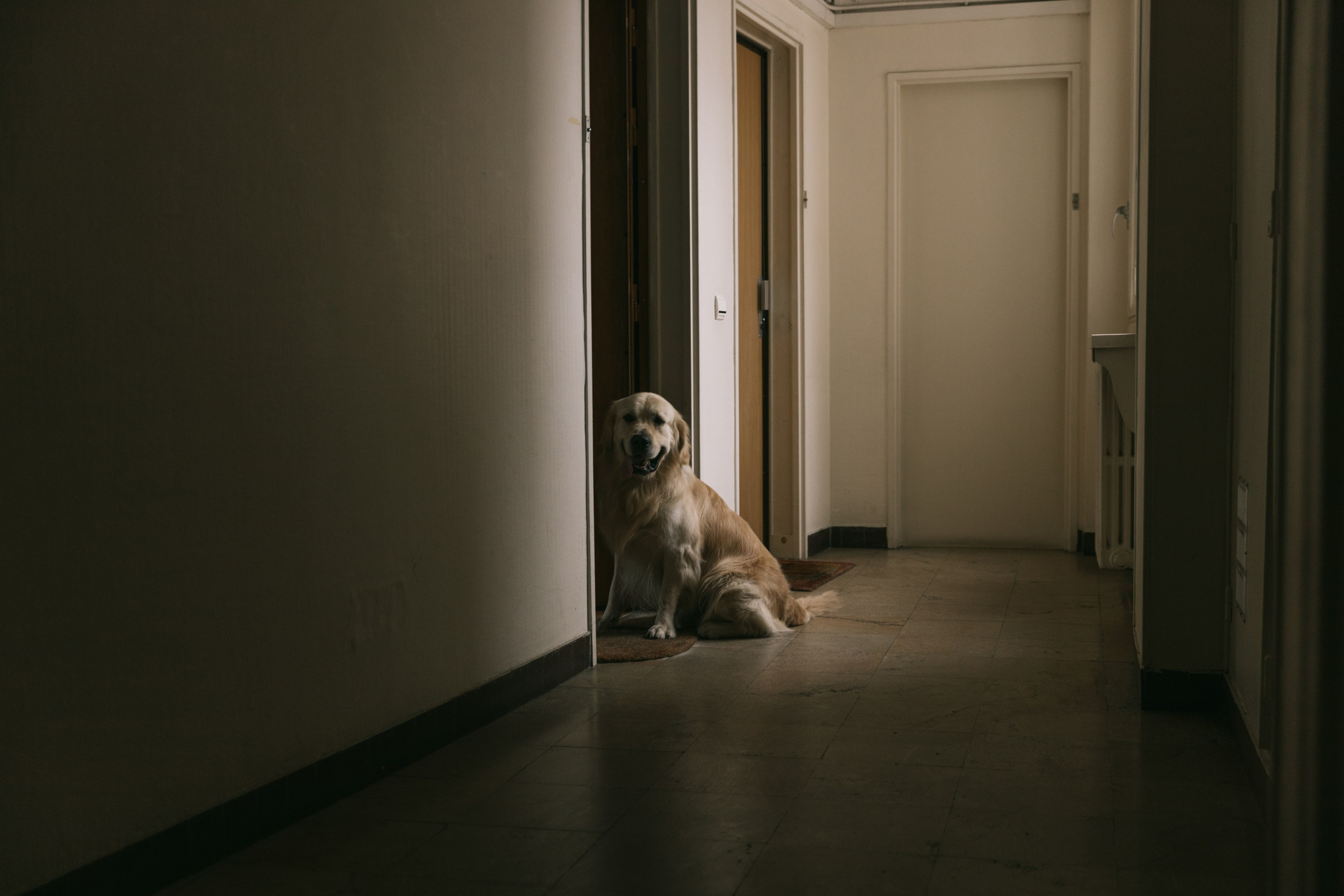 C’est entre nous. Photographe à Paris