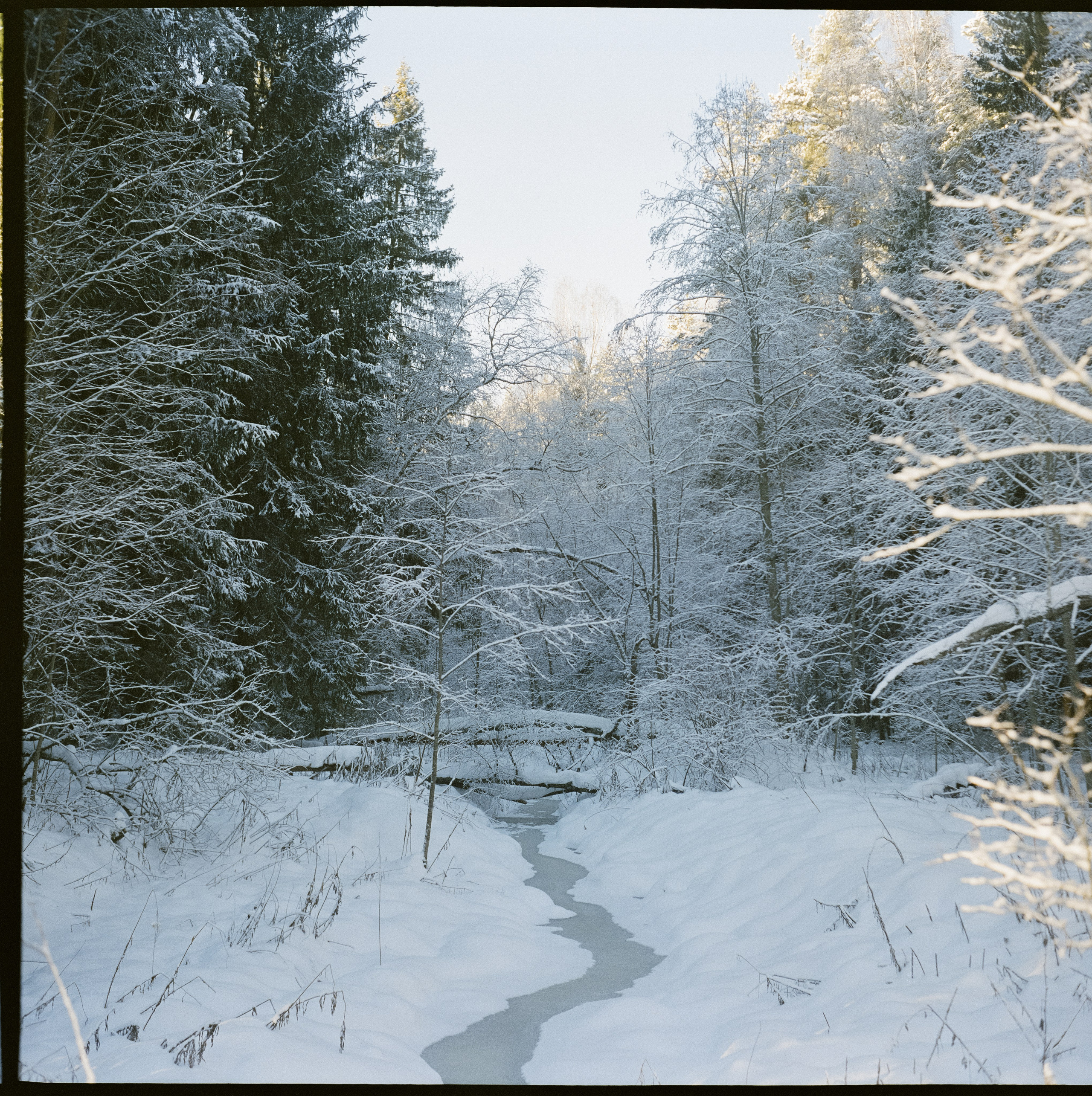 Super Fujica-6 примеры фотографий