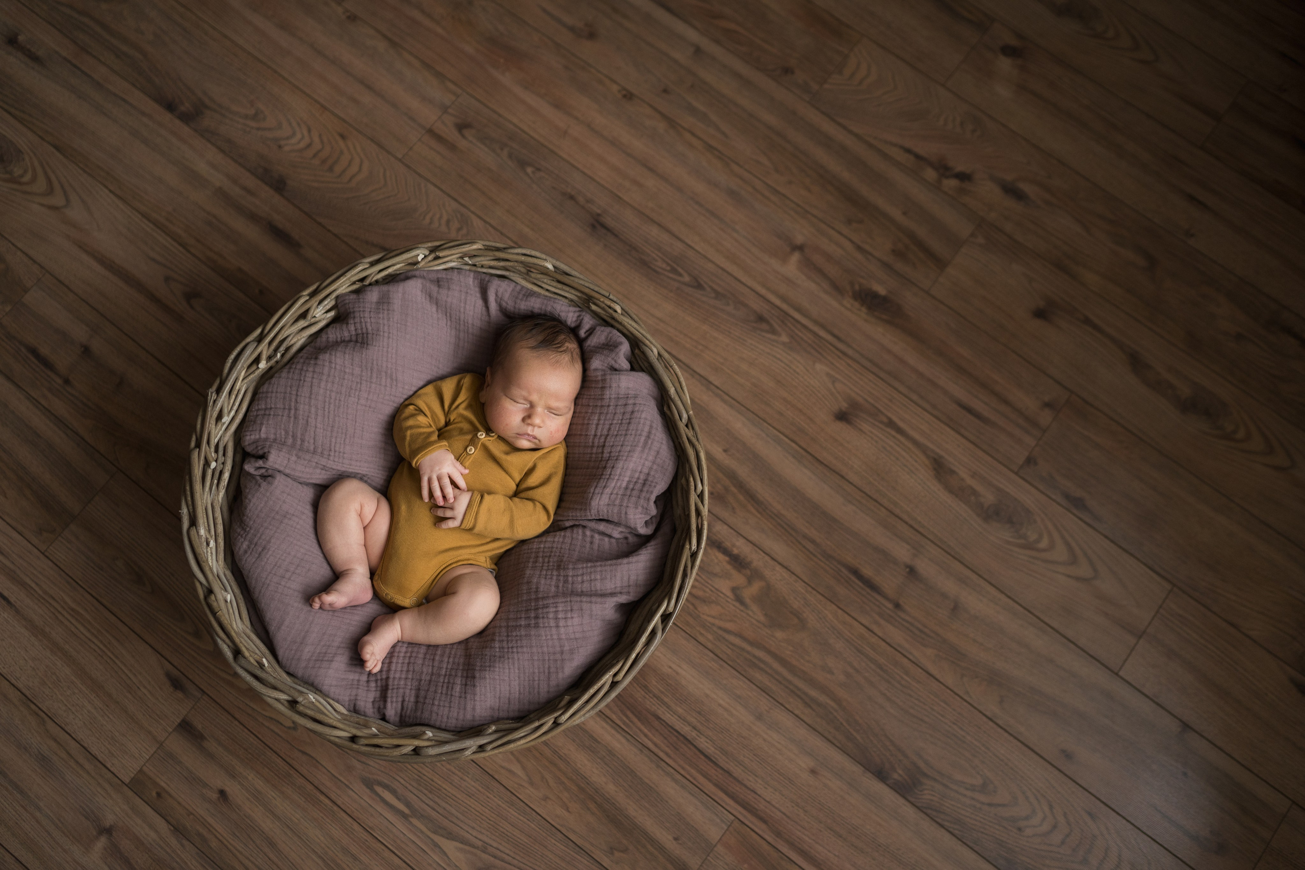 Малыш в корзине. Семейный и детский фотограф Москва Дарья Бугра